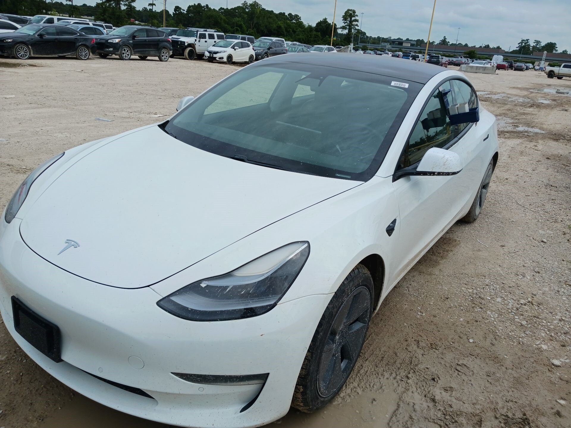 Thumbnail: 2021 Tesla Model 3 - 2