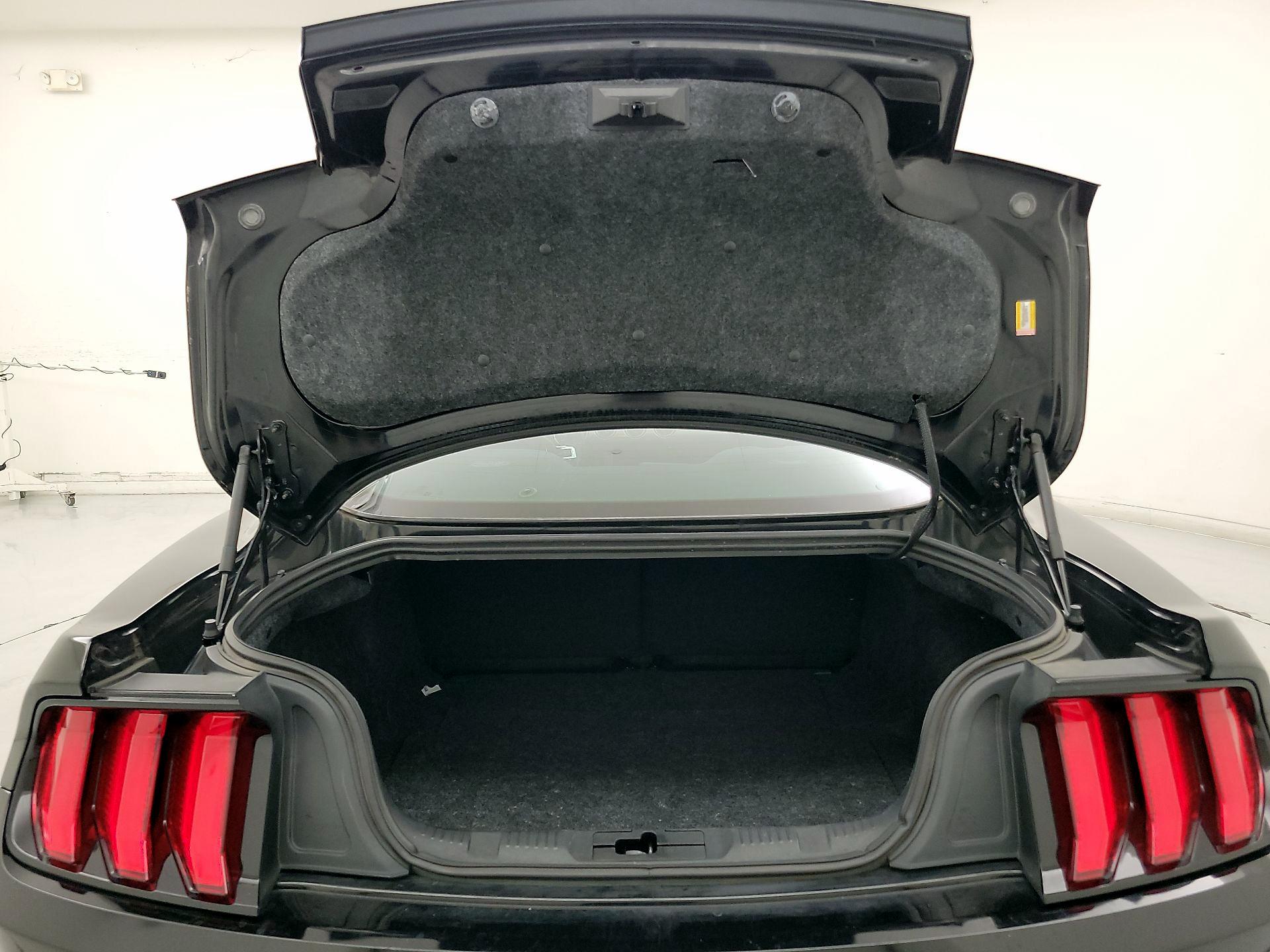 Thumbnail: 2019 Ford Mustang - 19
