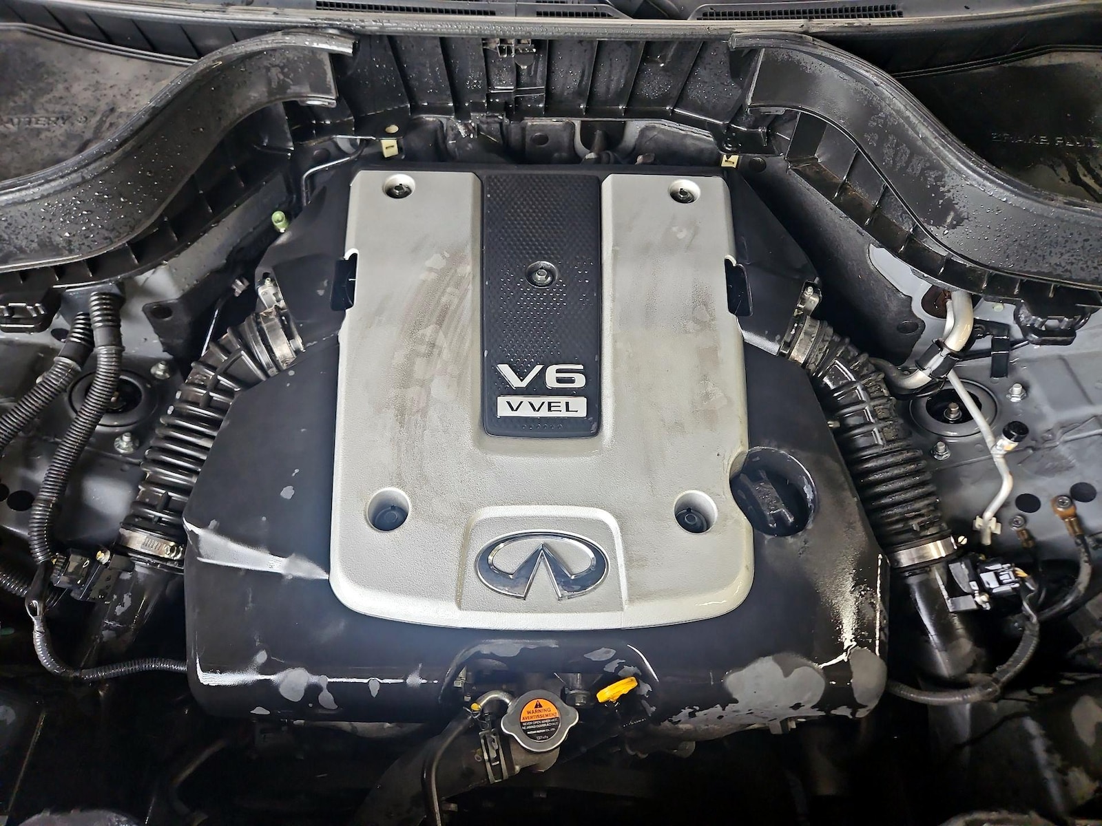 View 20