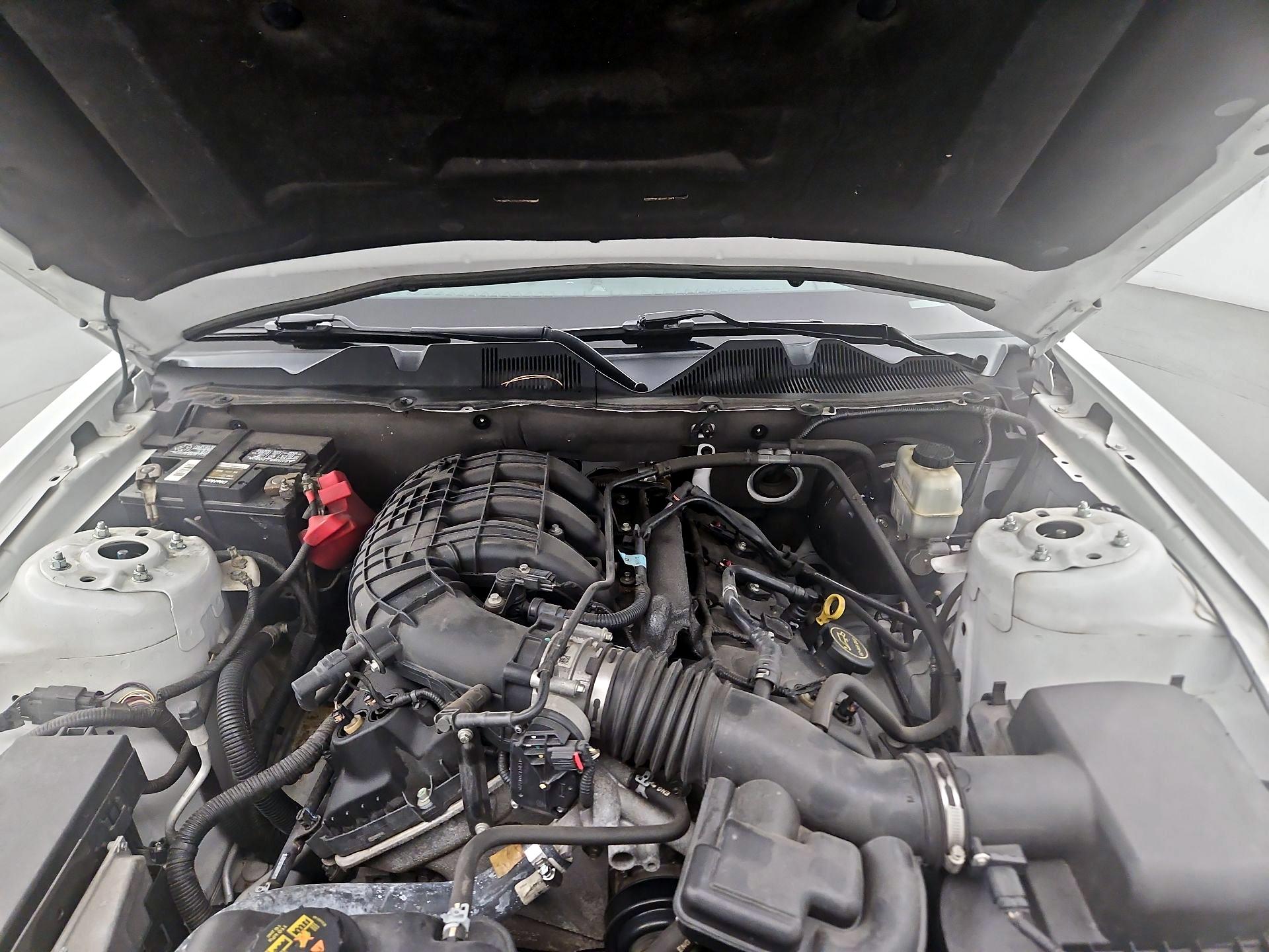 Thumbnail: 2014 Ford Mustang - 19