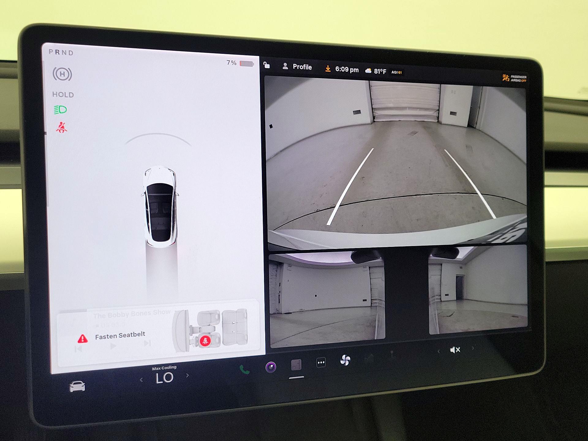 Thumbnail: 2021 Tesla Model 3 - 14