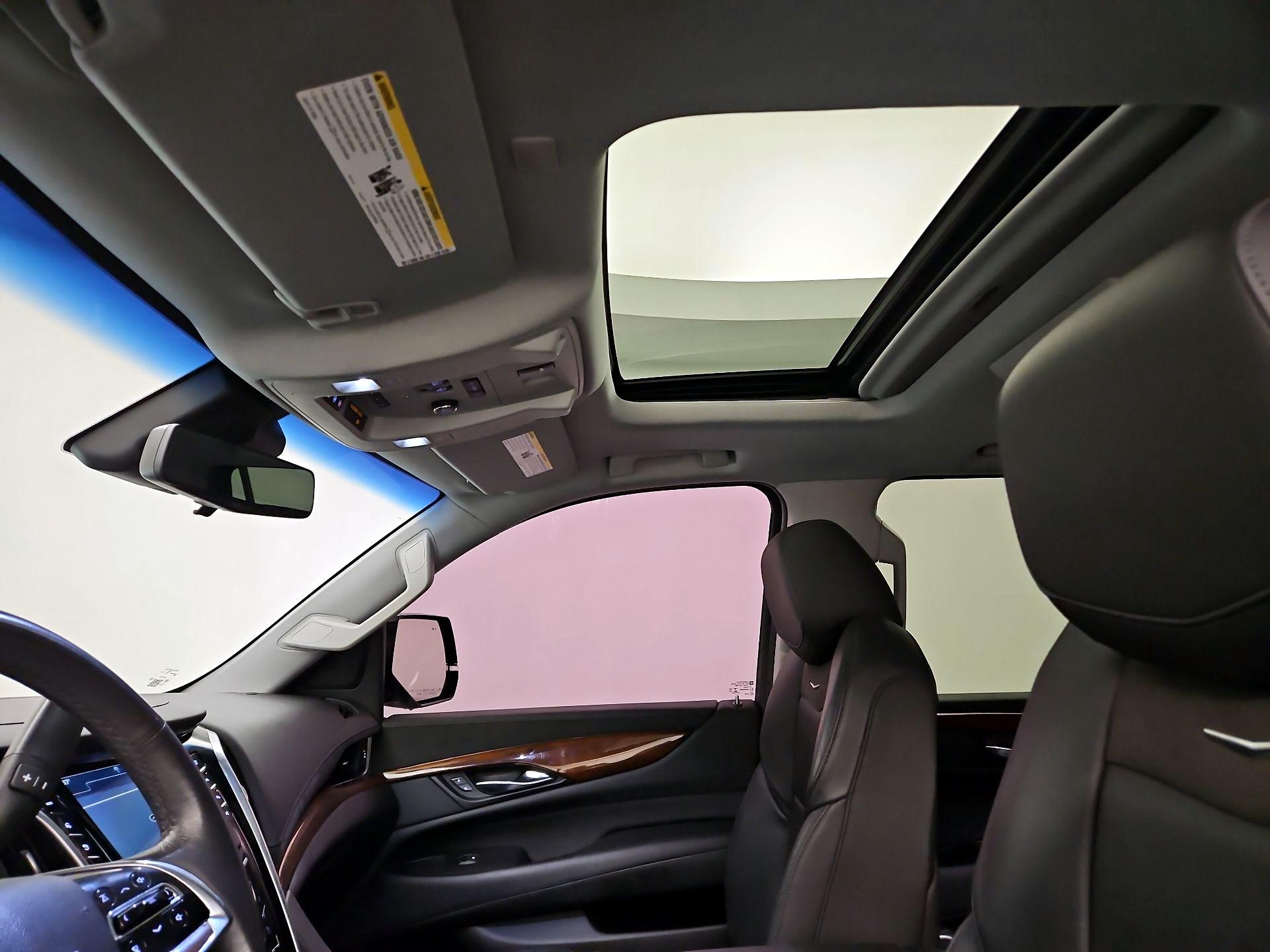 Thumbnail: 2019 Cadillac Escalade - 20