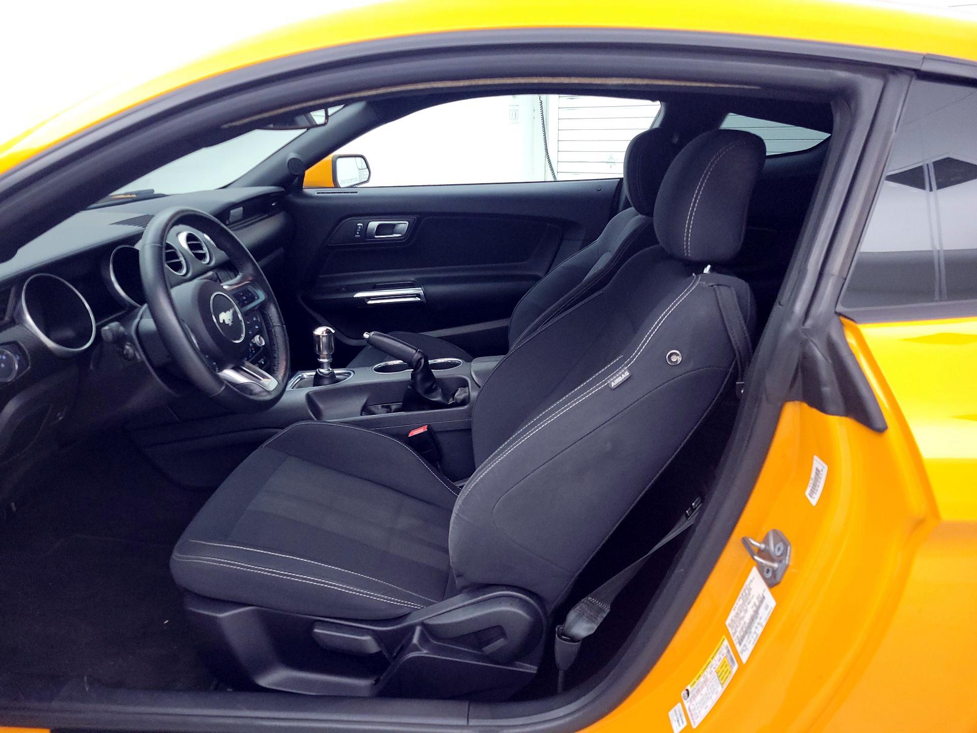 Thumbnail: 2019 Ford Mustang - 11