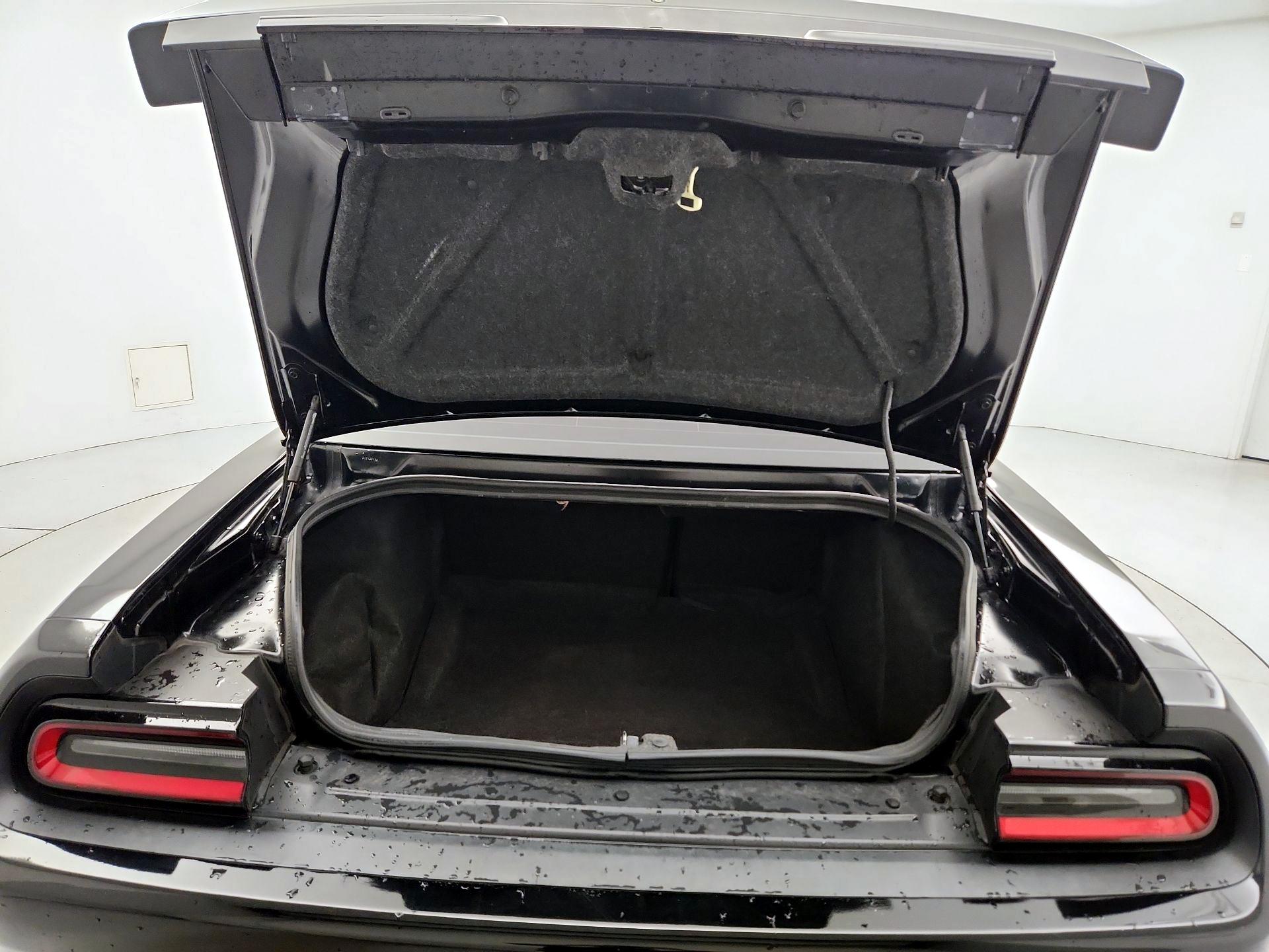 Thumbnail: 2019 Dodge Challenger - 18