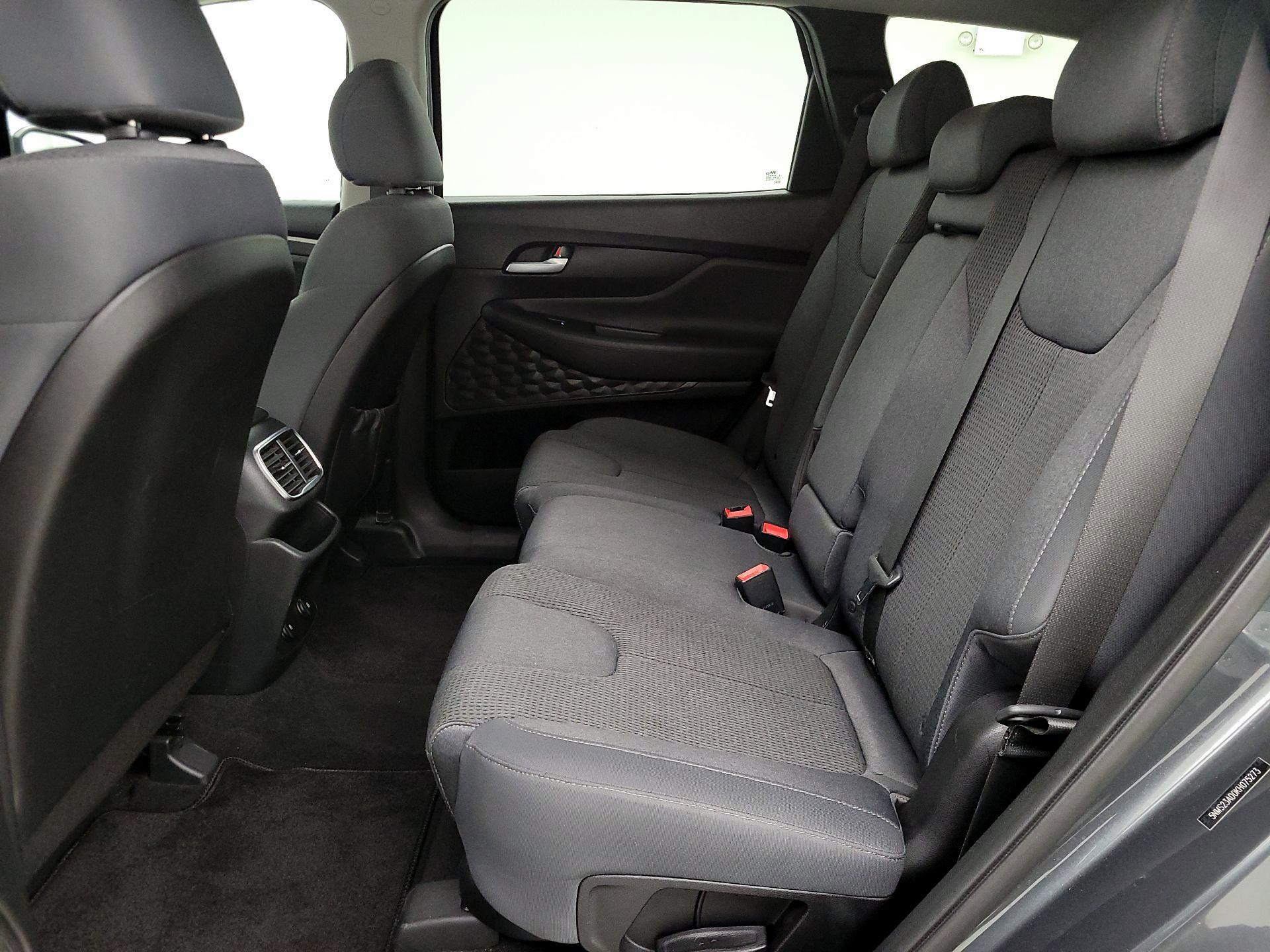 Thumbnail: 2019 Hyundai Santa Fe - 19