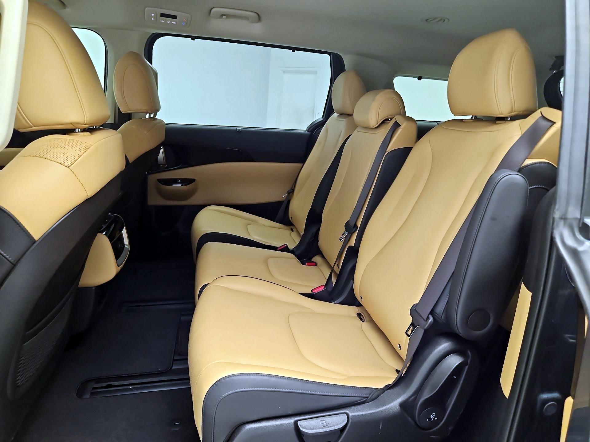 Thumbnail: 2024 Kia Carnival - 20