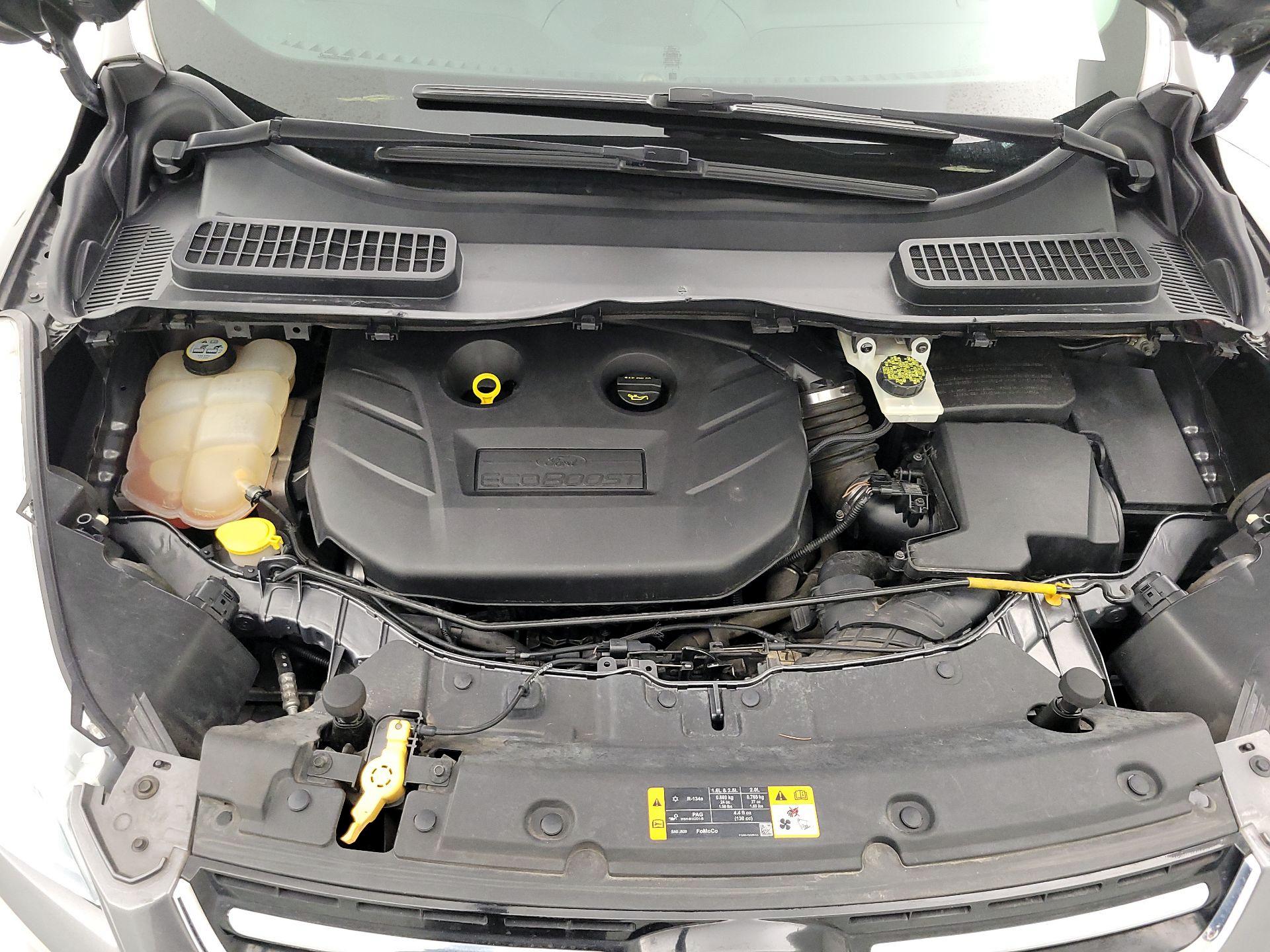 Thumbnail: 2013 Ford Escape - 20