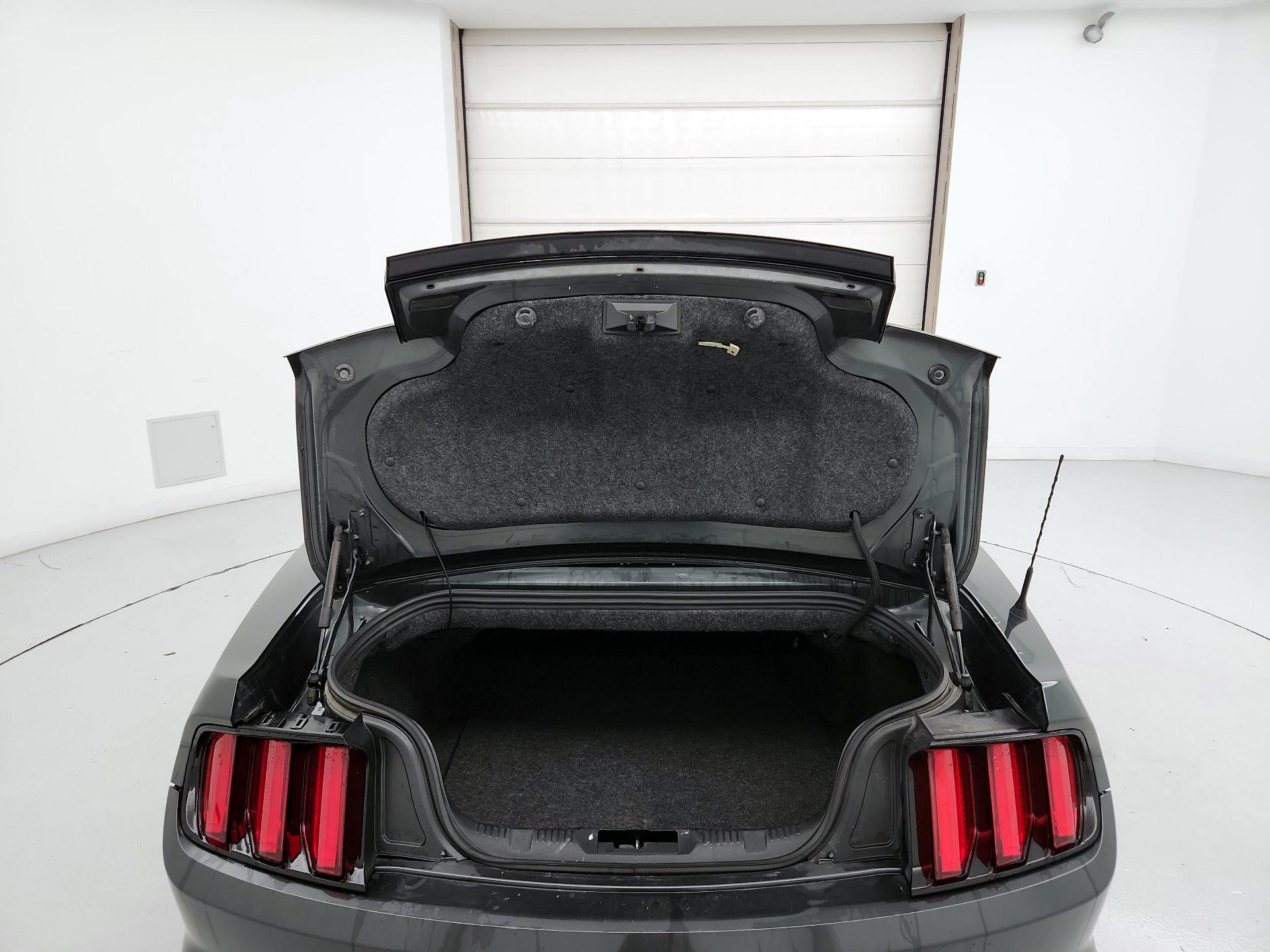 Thumbnail: 2016 Ford Mustang - 20