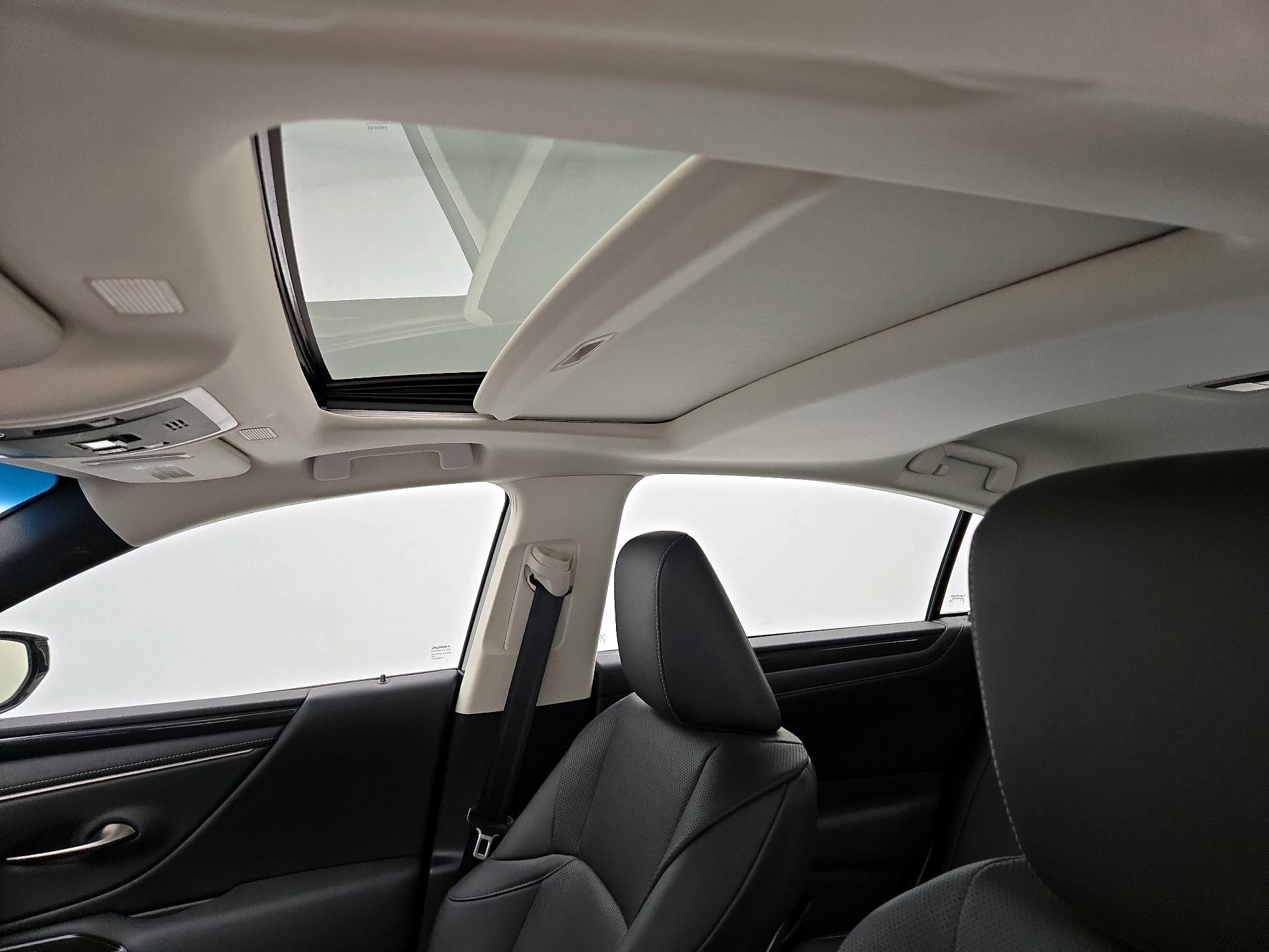 Thumbnail: 2019 Lexus ES - 19