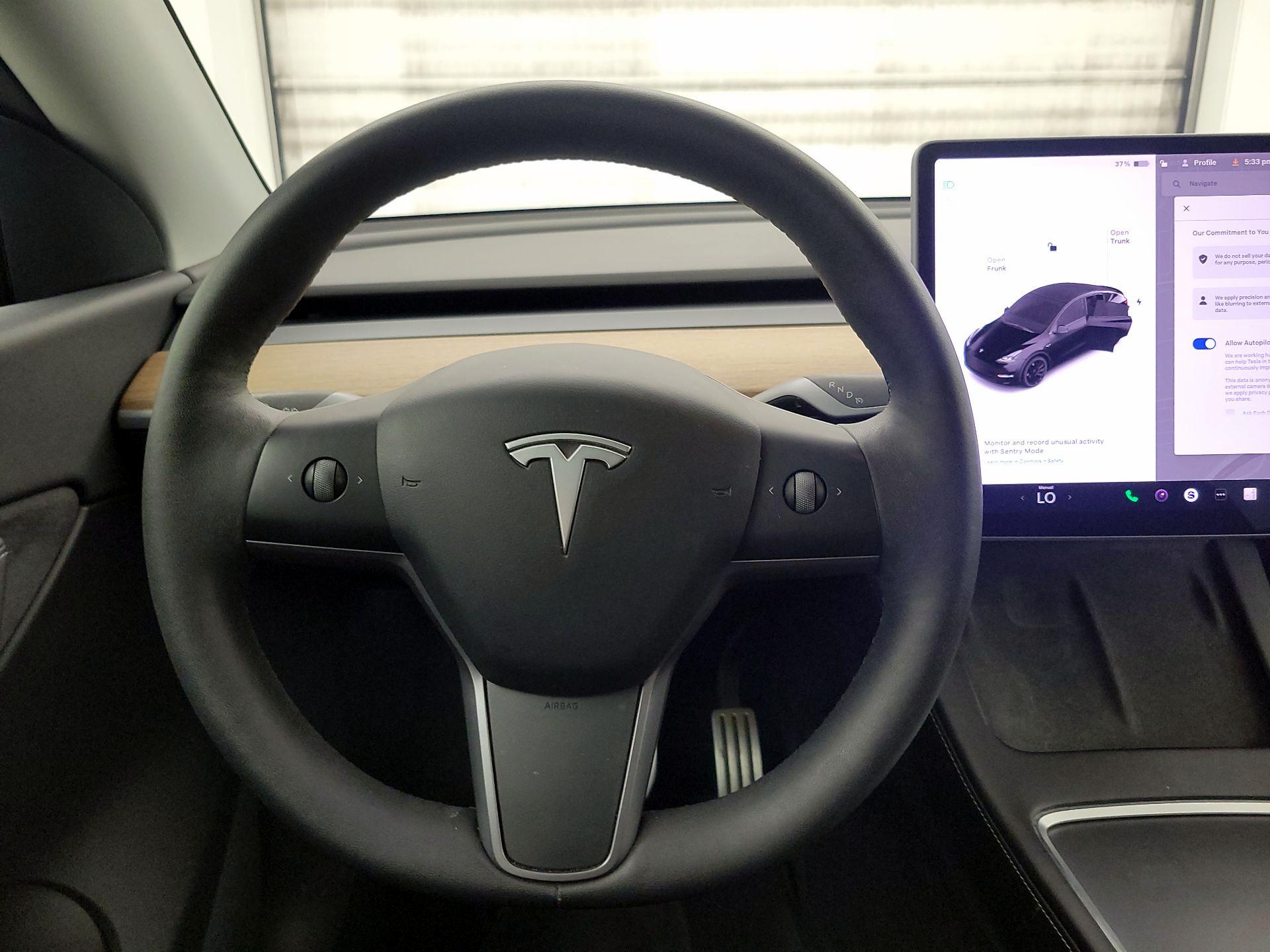 Thumbnail: 2022 Tesla Model Y - 10