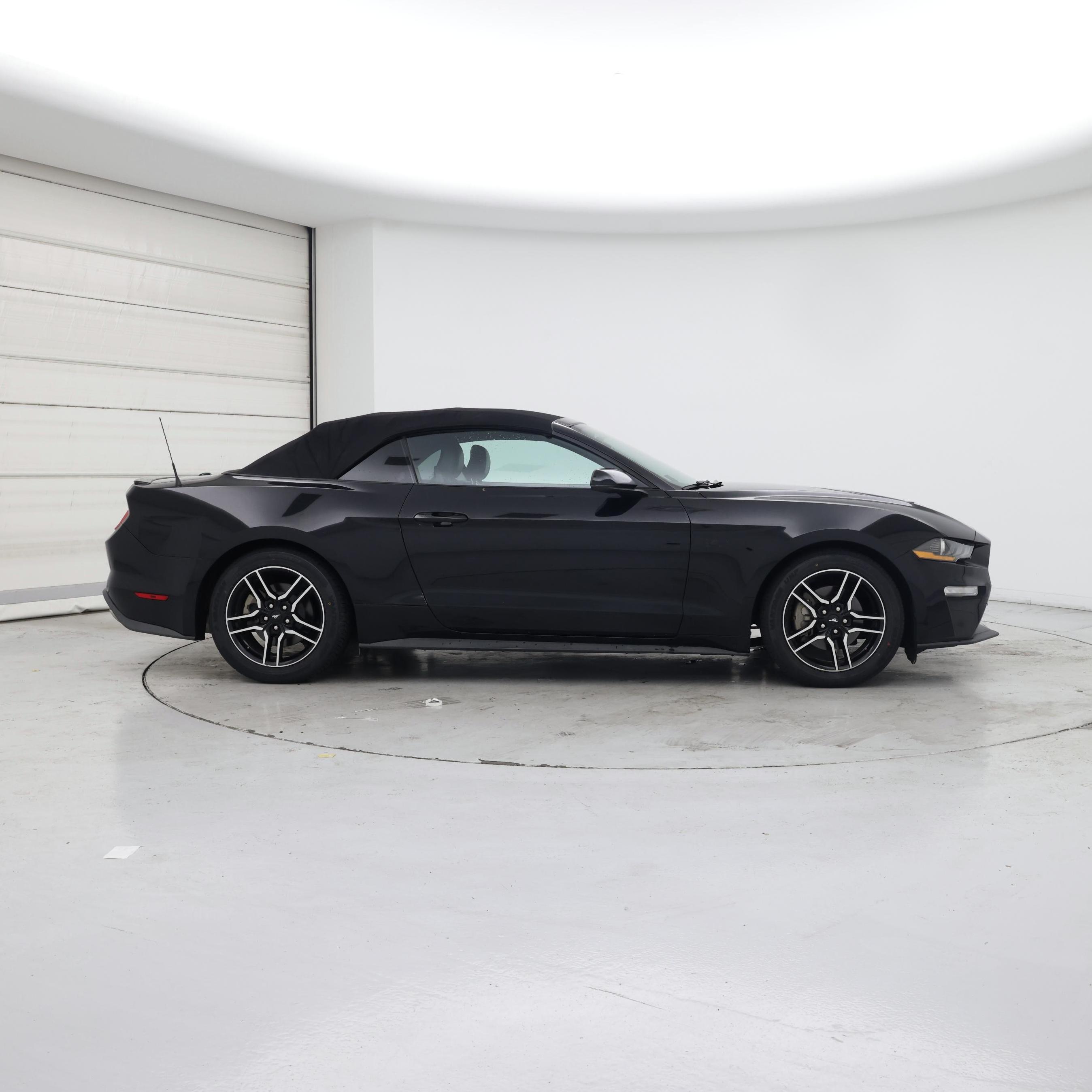 Thumbnail: 2019 Ford Mustang - 7