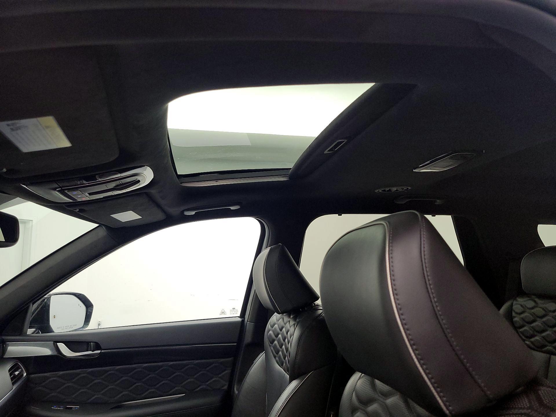 Thumbnail: 2020 Hyundai Palisade - 20