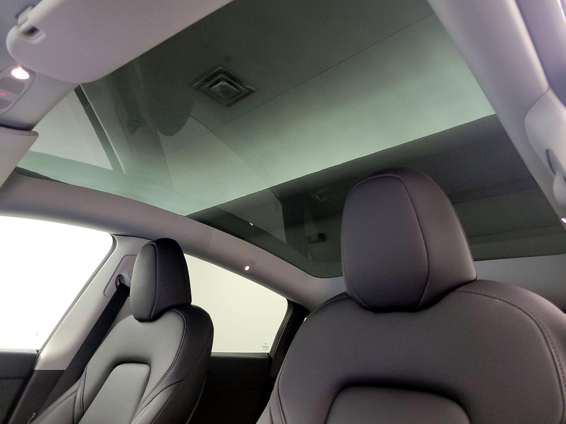 Thumbnail: 2022 Tesla Model Y - 19