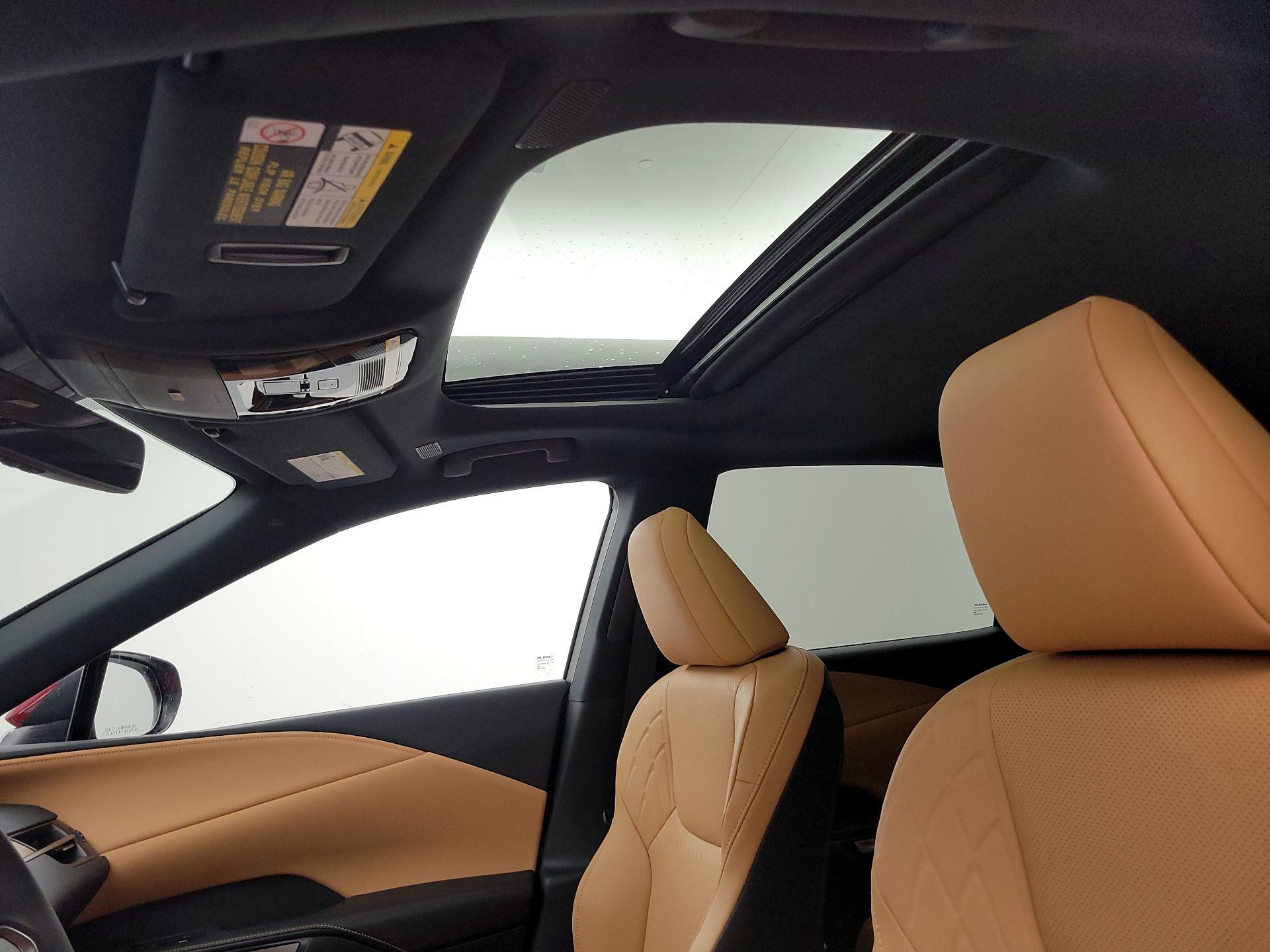 Thumbnail: 2025 Lexus RX - 19