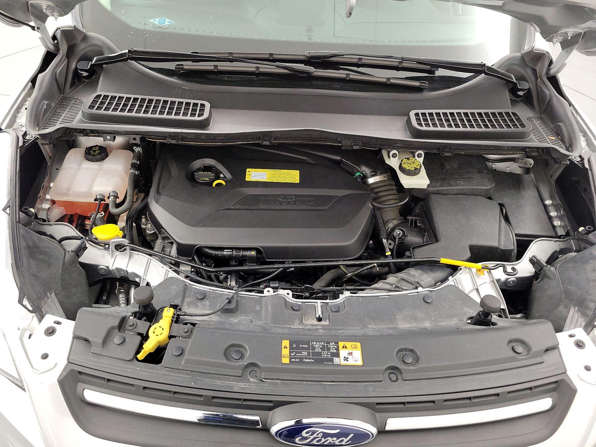 Thumbnail: 2014 Ford Escape - 20