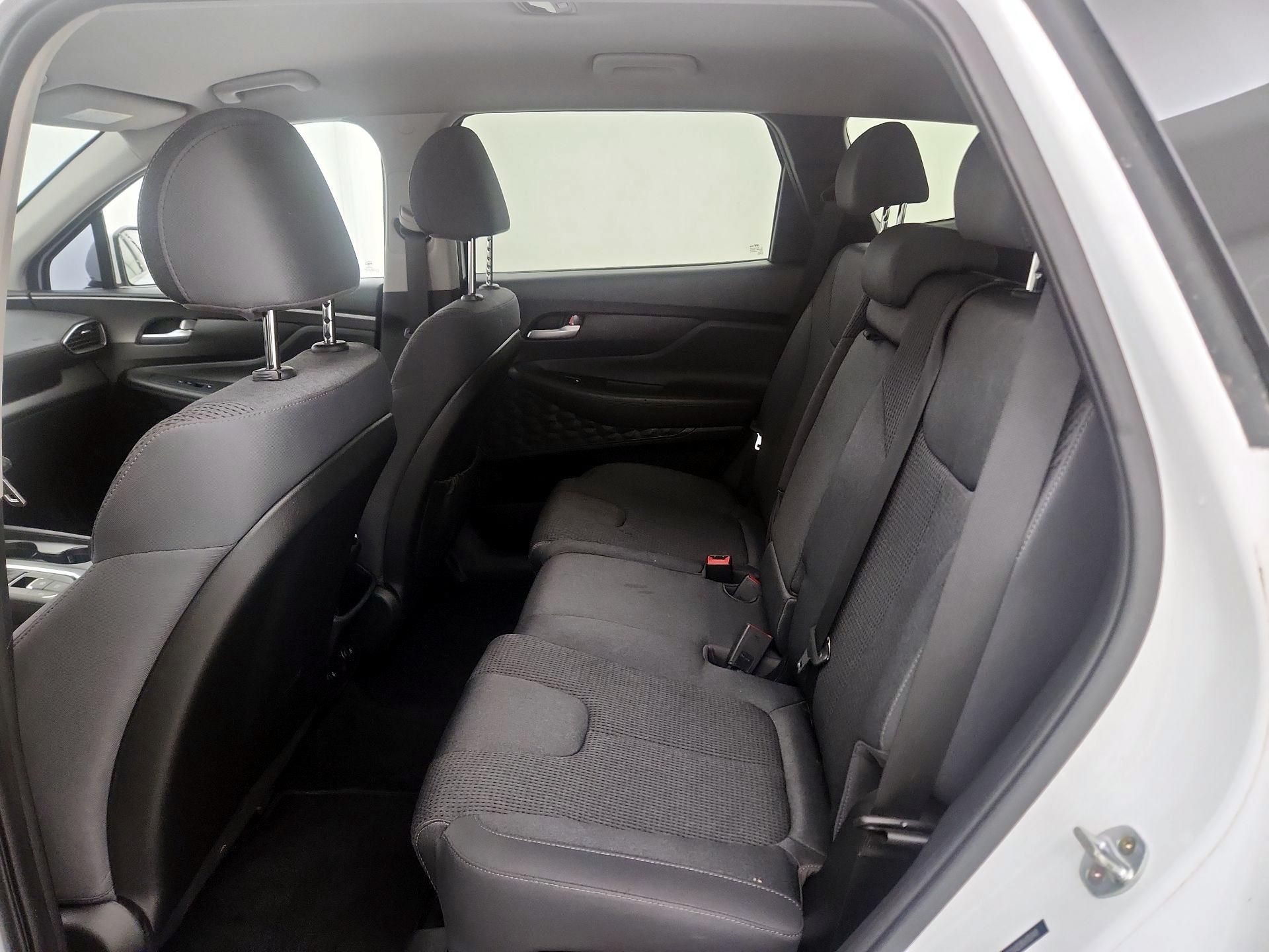 Thumbnail: 2019 Hyundai Santa Fe - 19