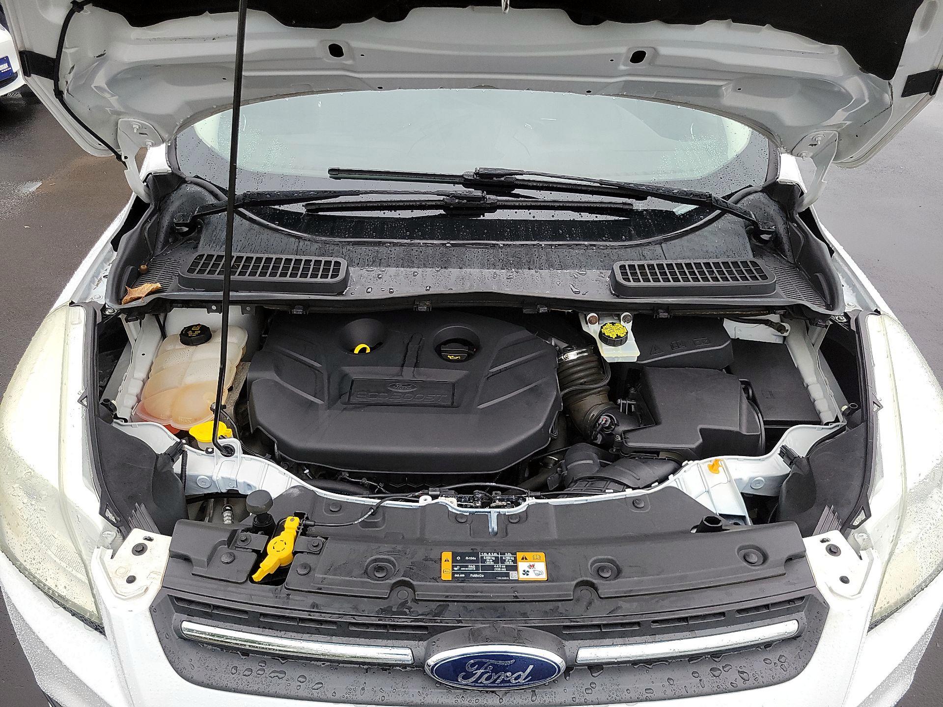 Thumbnail: 2016 Ford Escape - 19