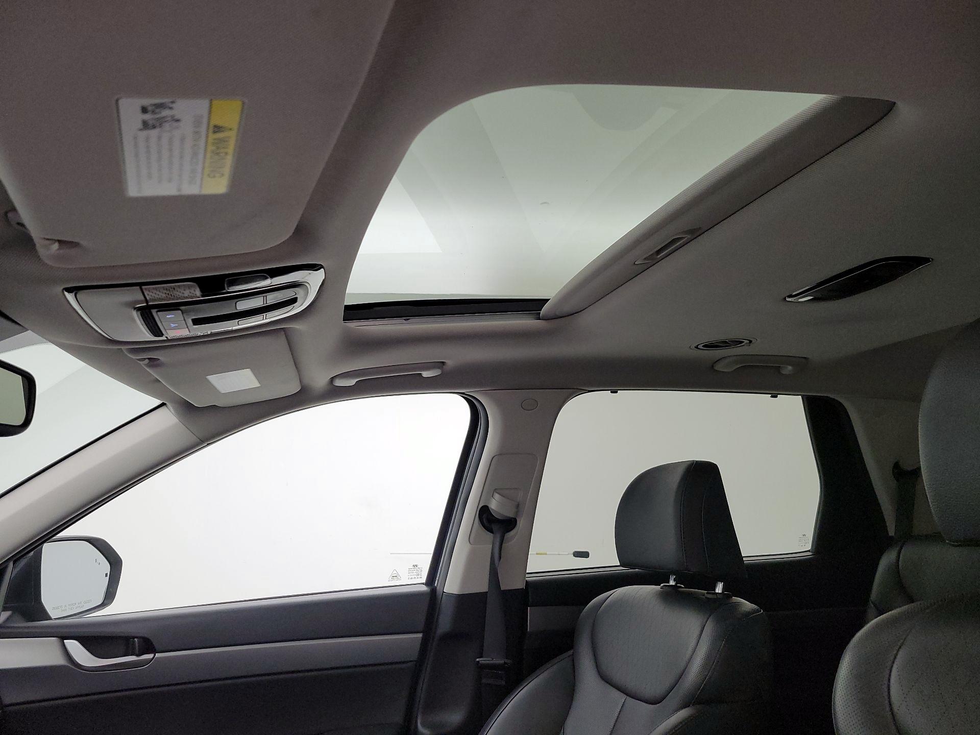 Thumbnail: 2022 Hyundai Palisade - 20