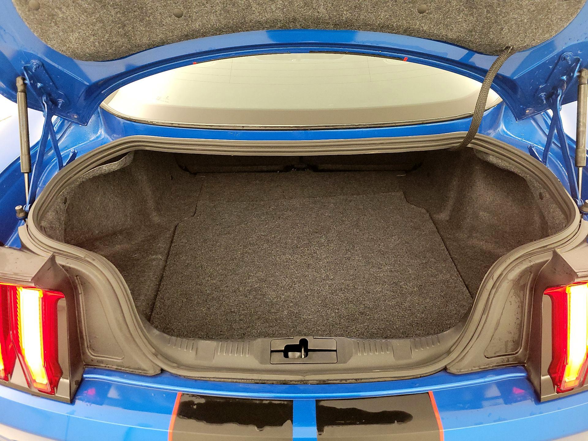 Thumbnail: 2019 Ford Mustang - 20