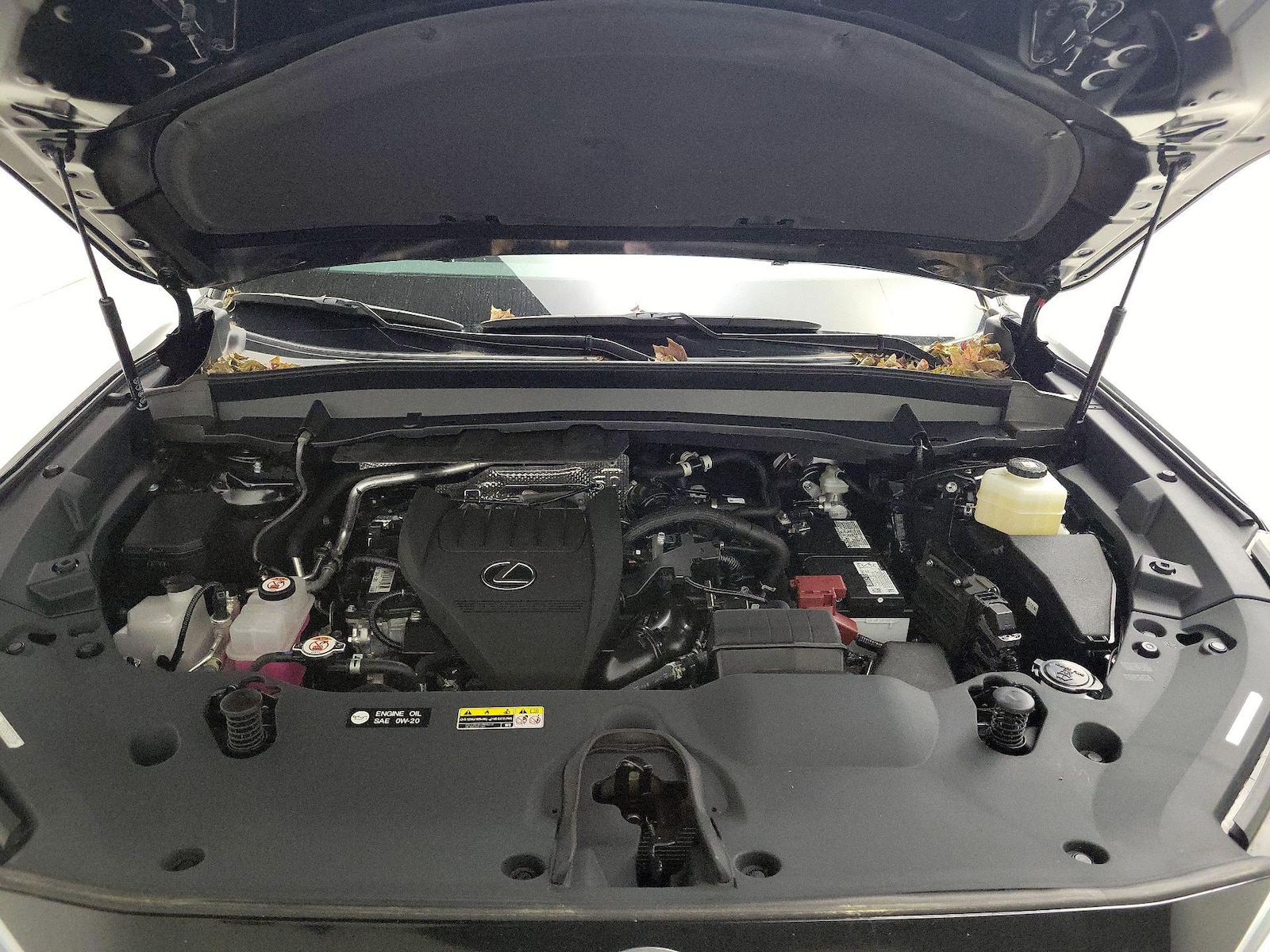 2024 Lexus TX 350 - Photo 24