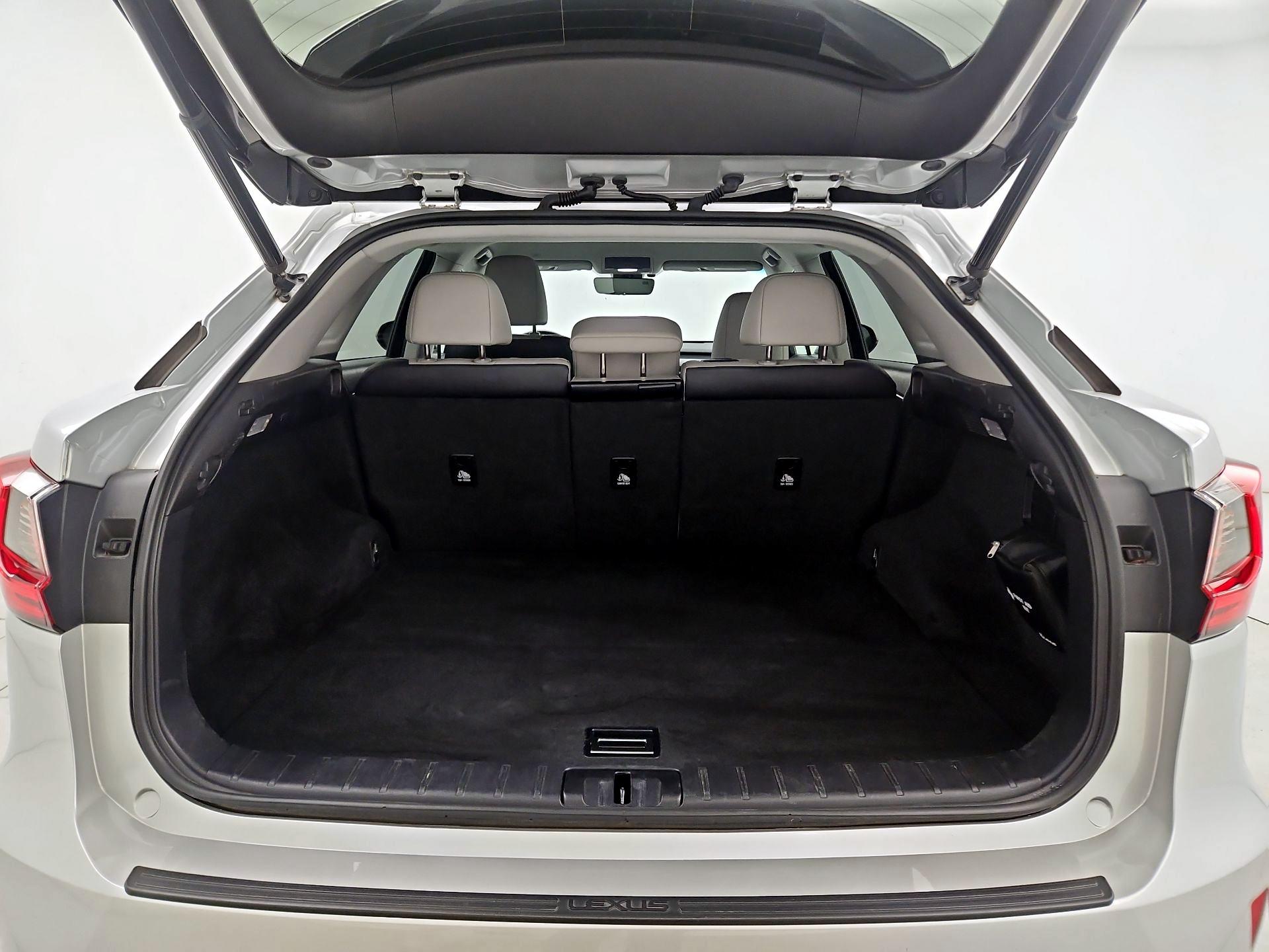Thumbnail: 2019 Lexus RX - 19