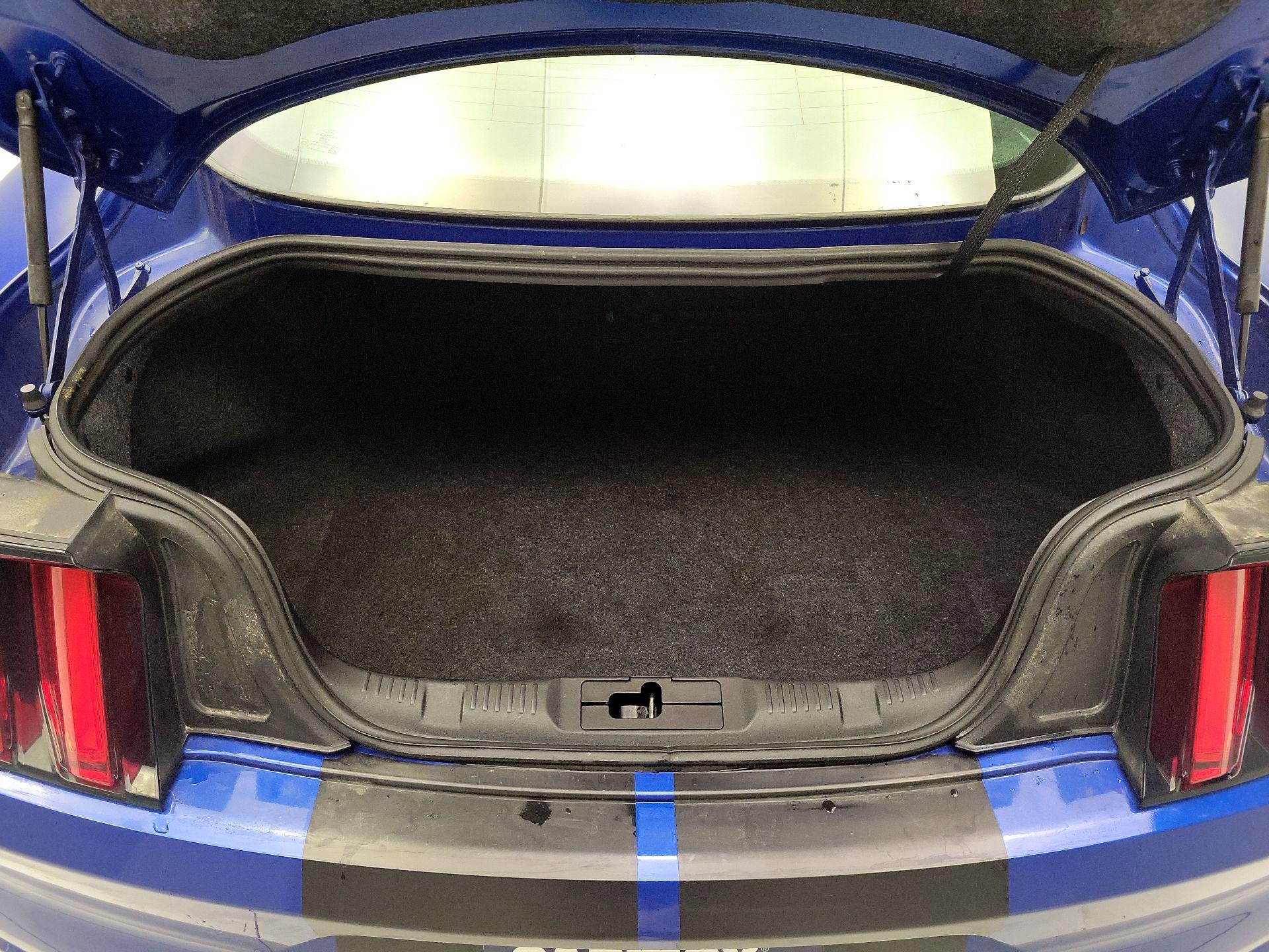 Thumbnail: 2017 Ford Mustang - 20