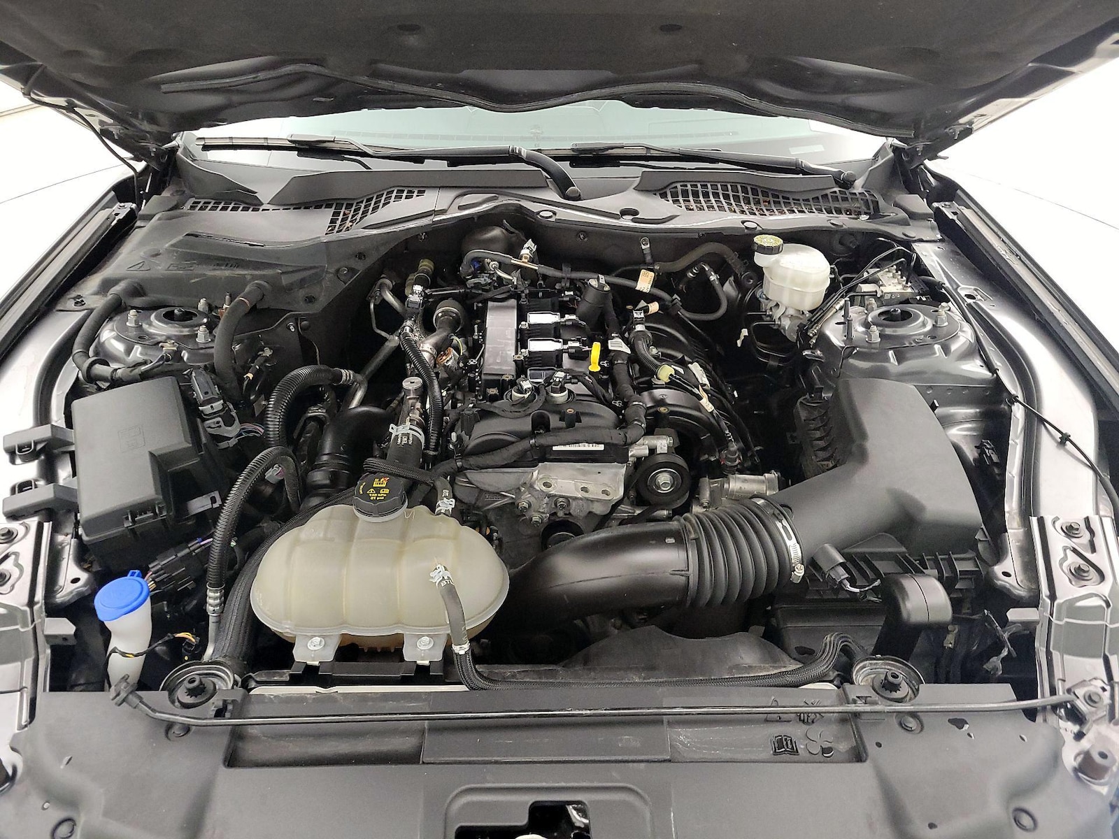 View 20