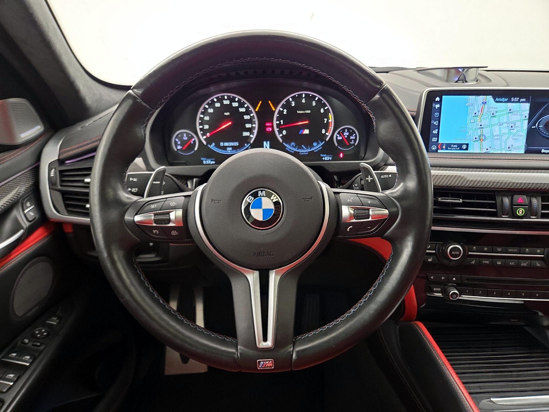 Thumbnail: 2019 BMW X6 - 10