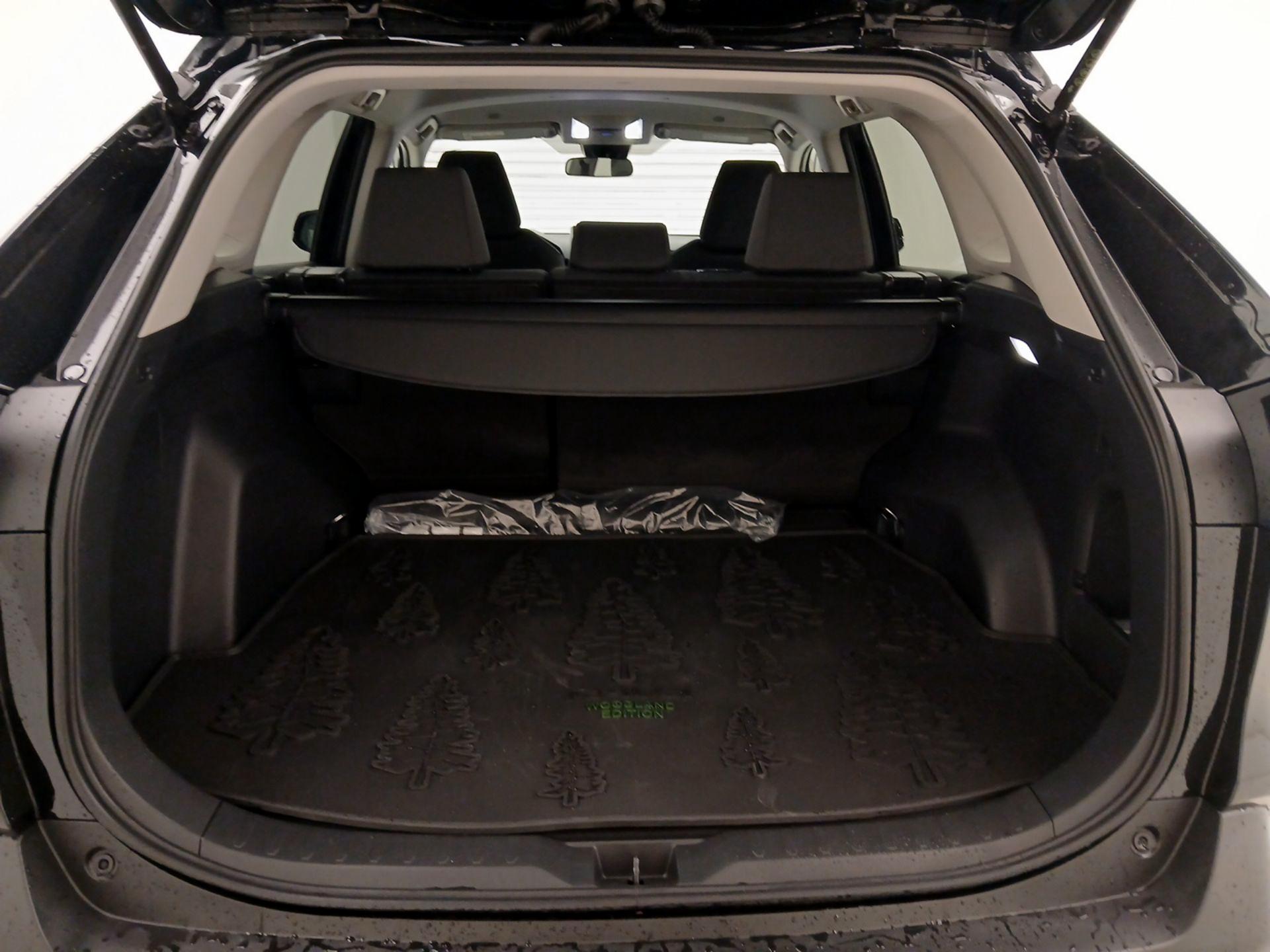 Thumbnail: 2025 Toyota RAV4 - 20