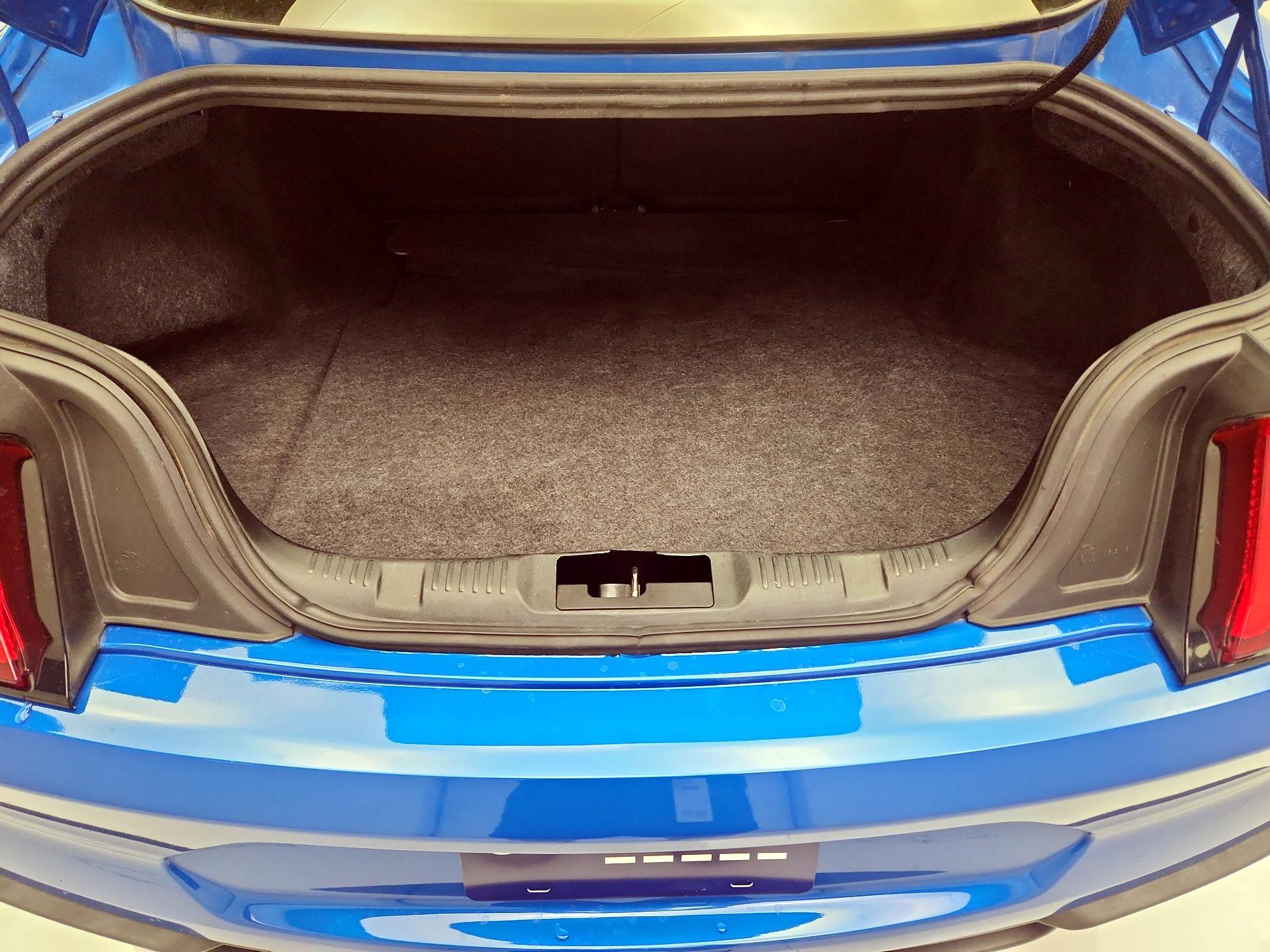 Thumbnail: 2019 Ford Mustang - 20