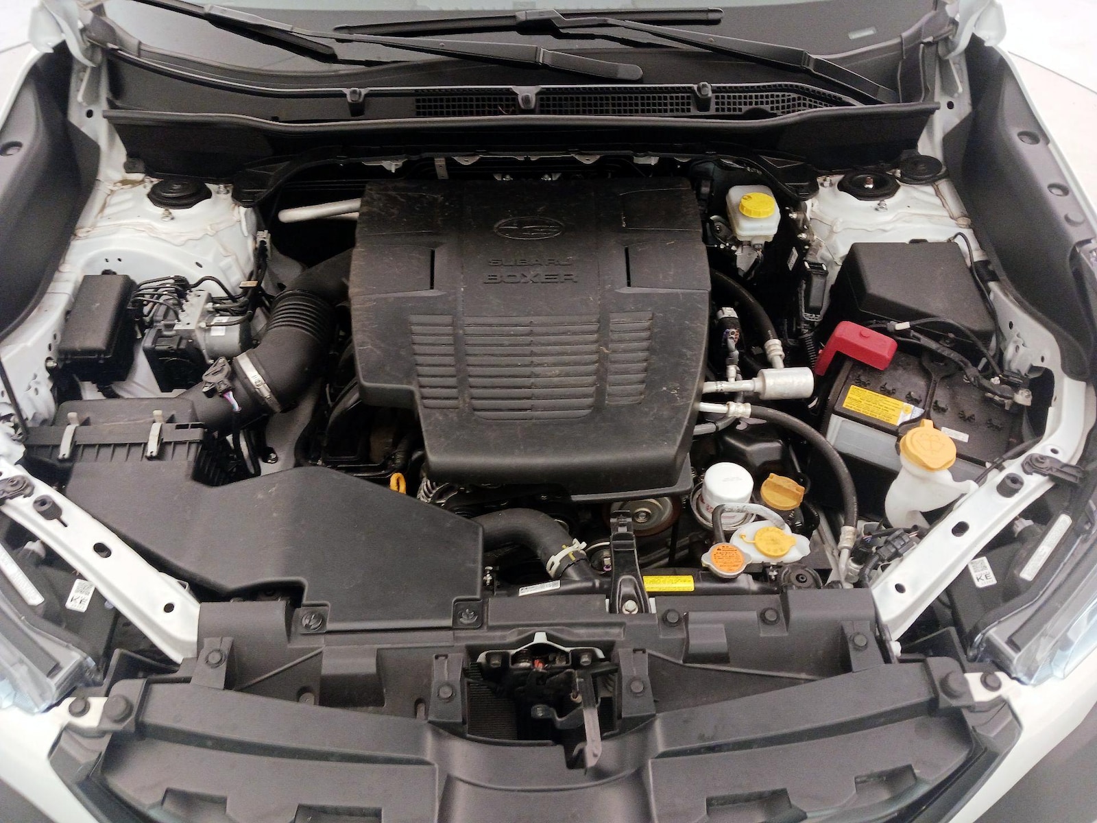 2024 Subaru Forester Wilderness - Photo 24