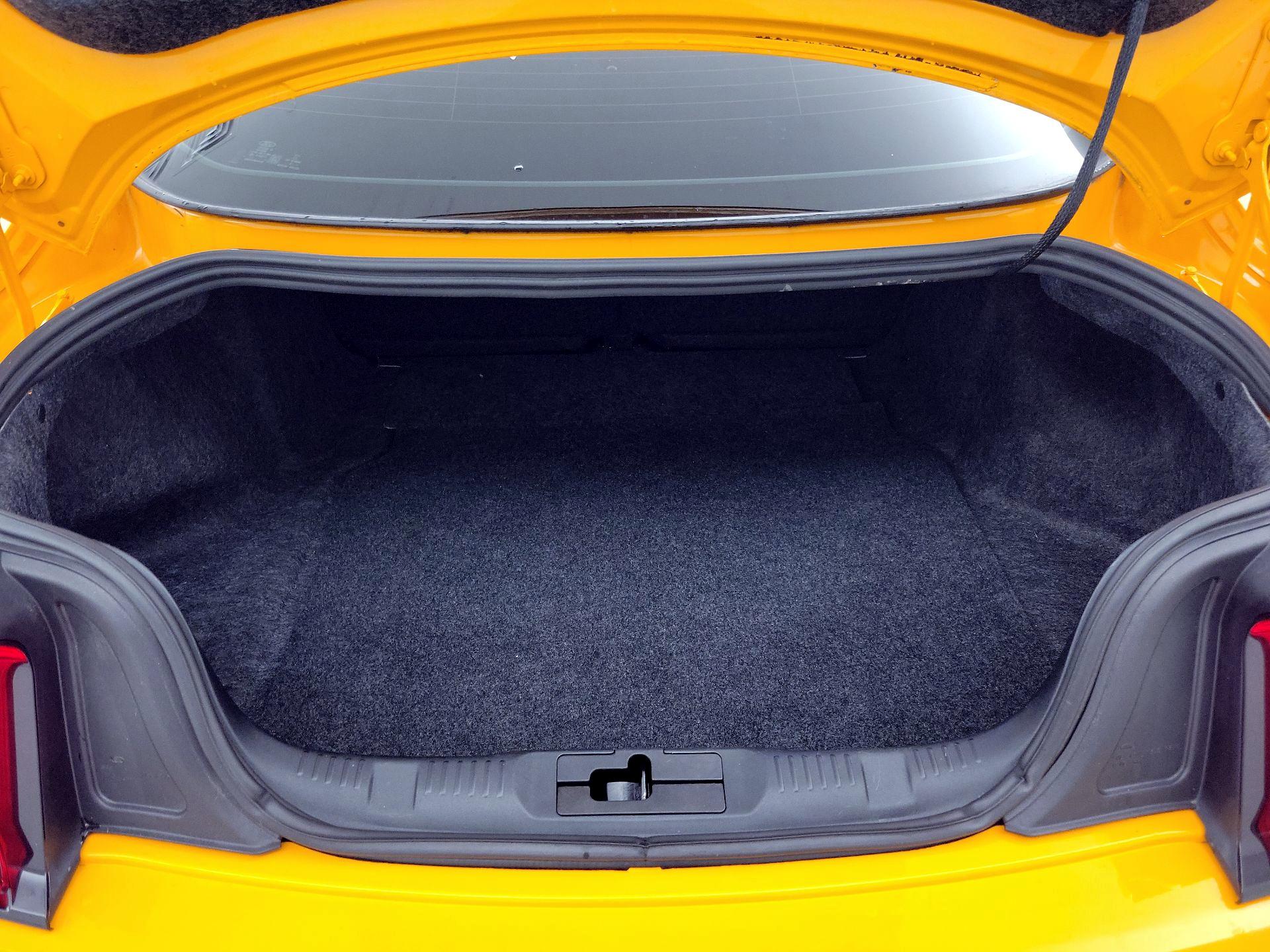 Thumbnail: 2019 Ford Mustang - 20