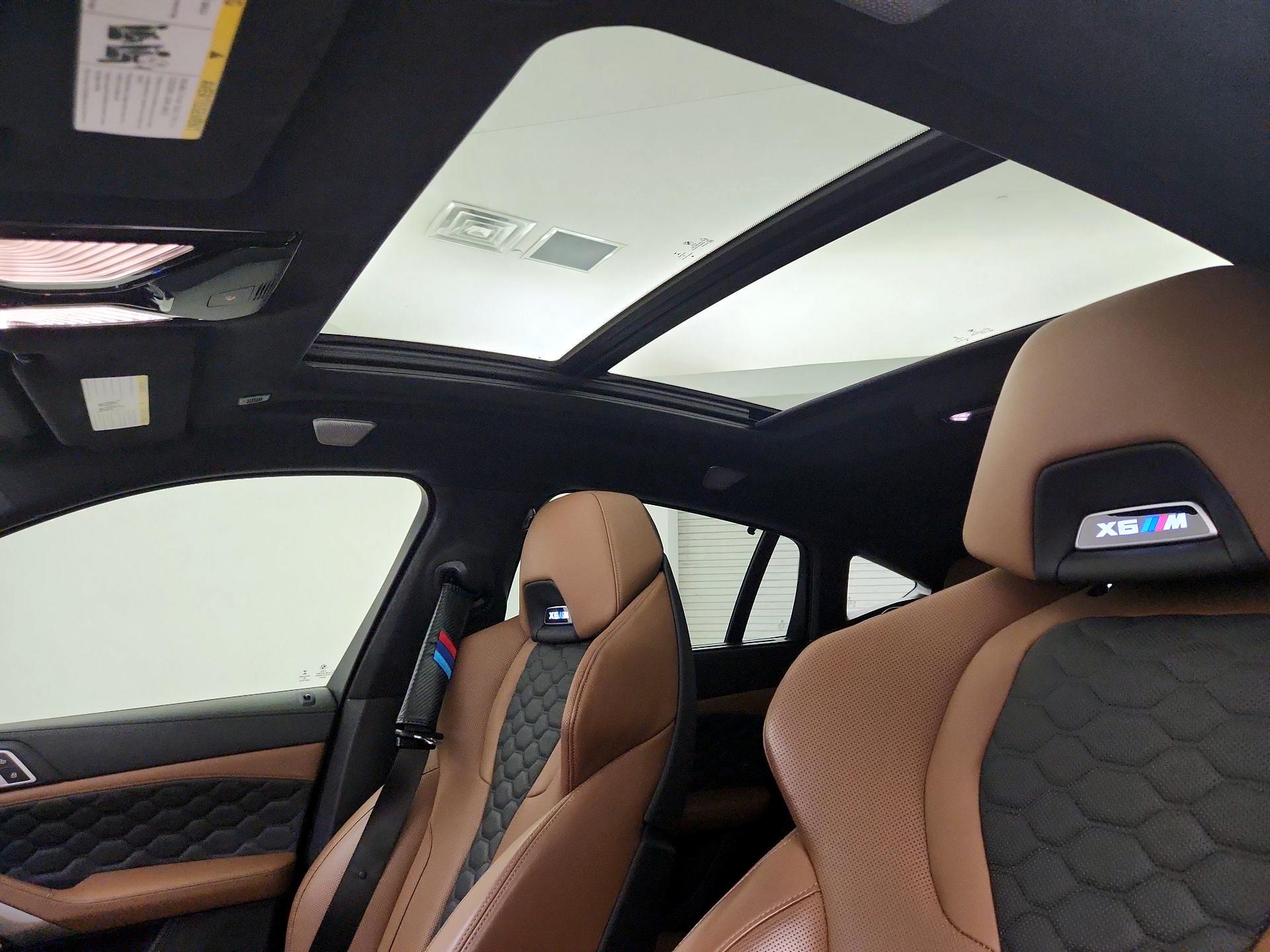 Thumbnail: 2021 BMW X6 - 20