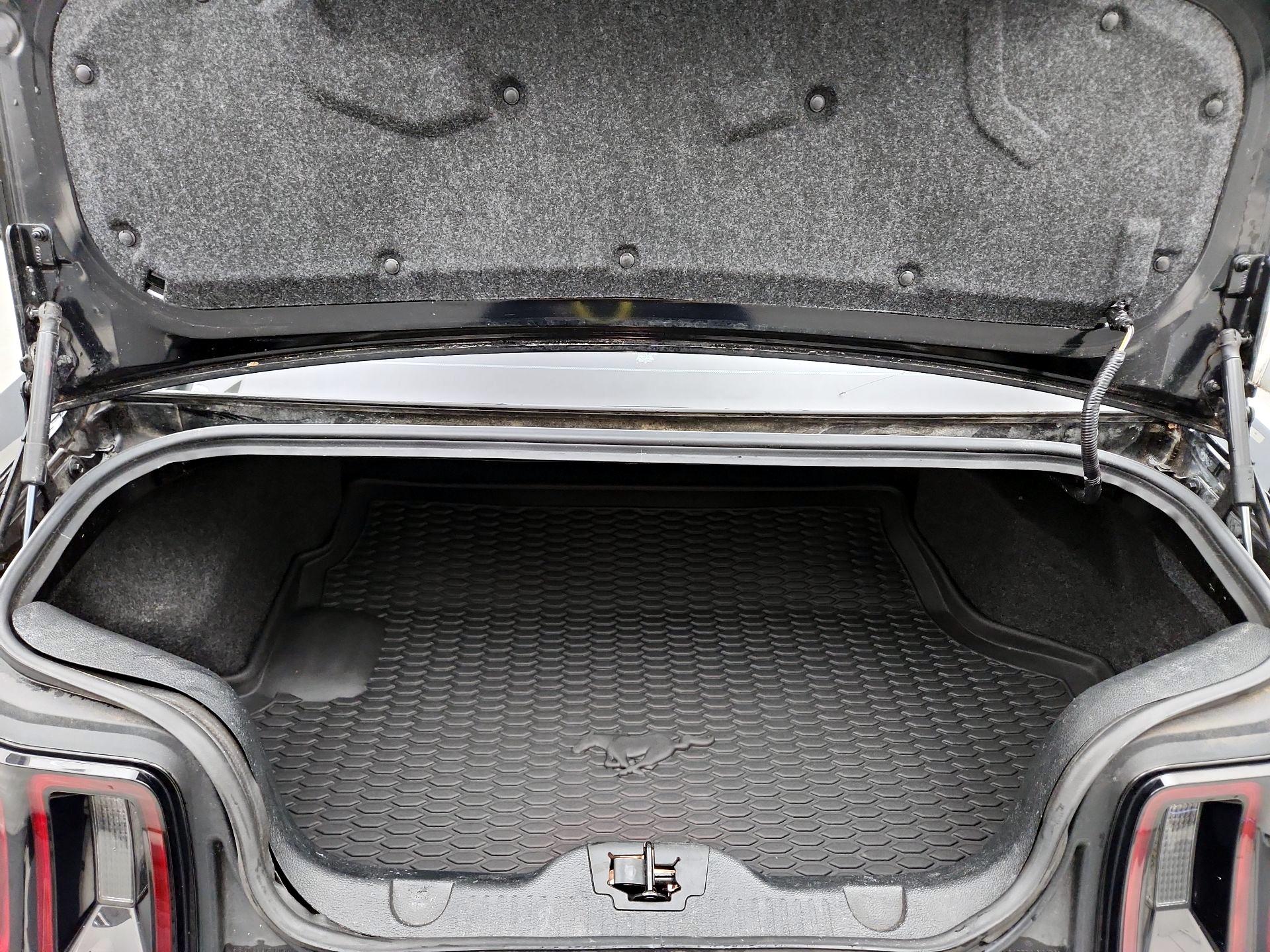 Thumbnail: 2014 Ford Mustang - 19