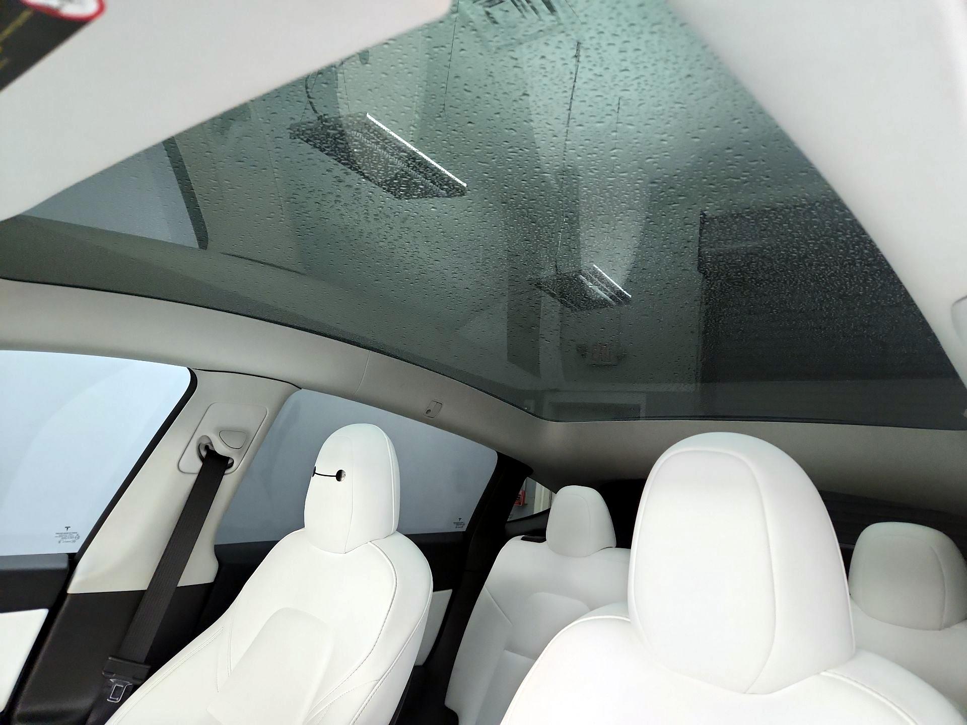 Thumbnail: 2022 Tesla Model Y - 19