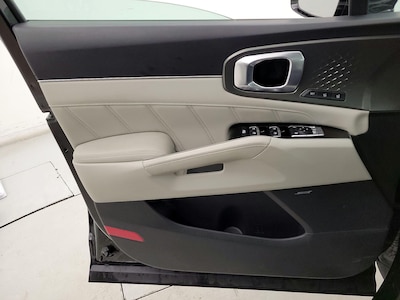 Driver Door Panel