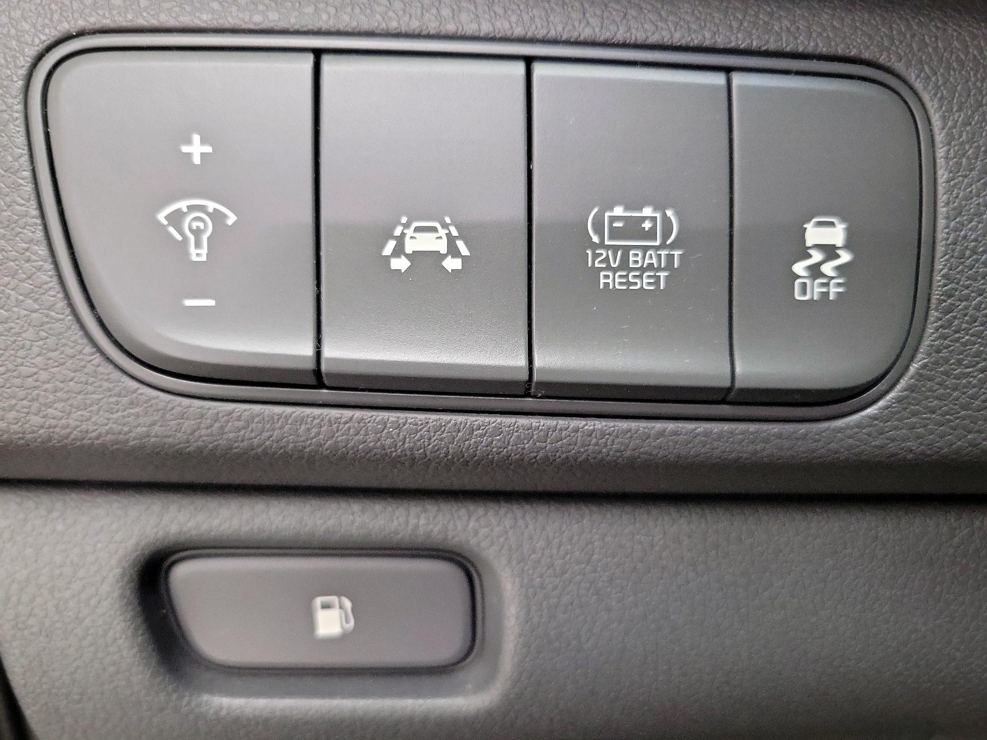 Thumbnail: 2019 Kia Niro - 13