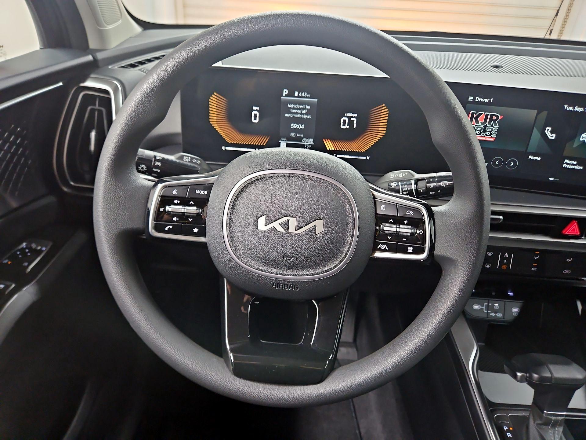 Thumbnail: 2024 Kia Sorento - 10