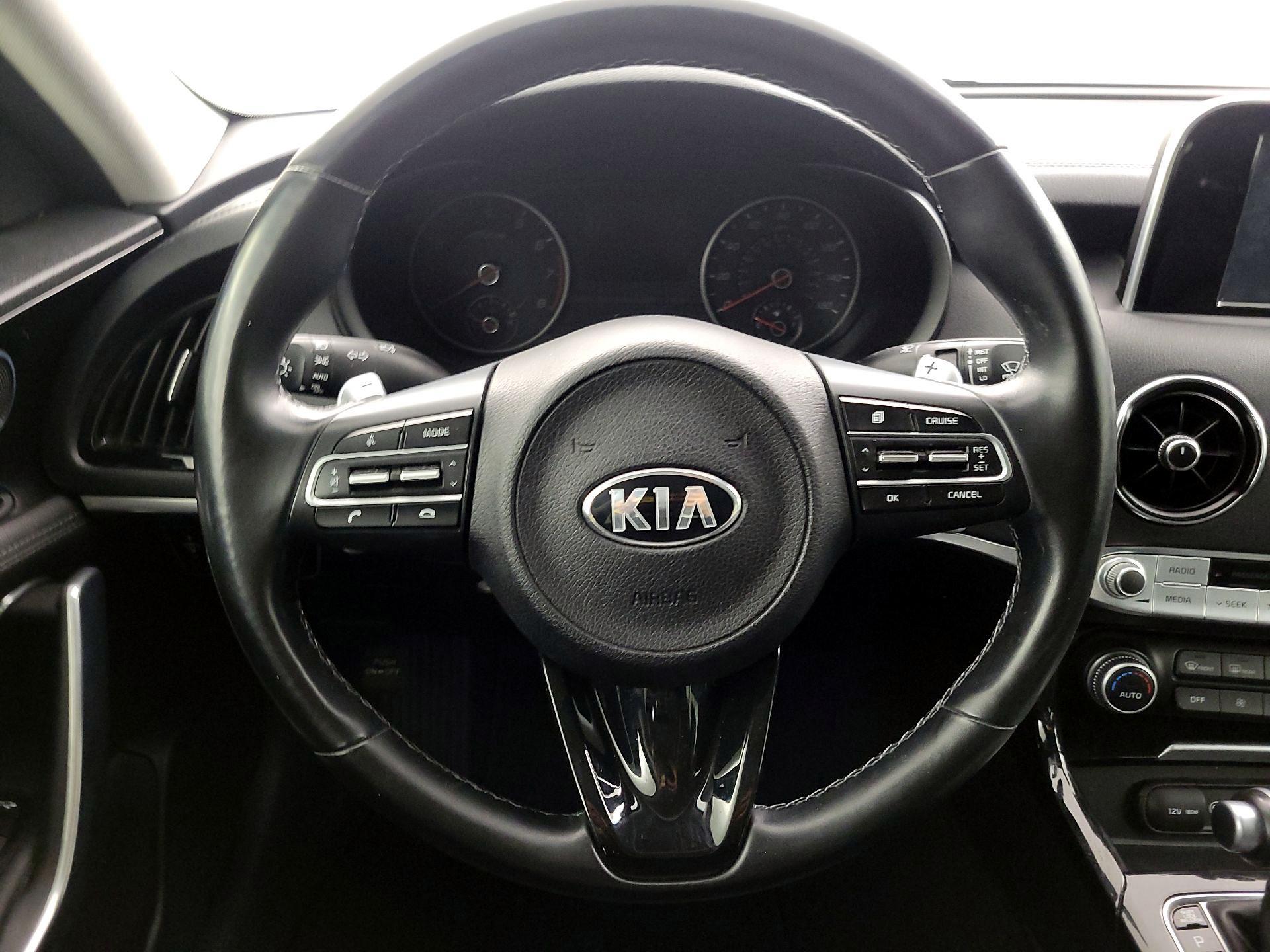Thumbnail: 2019 Kia Stinger - 10
