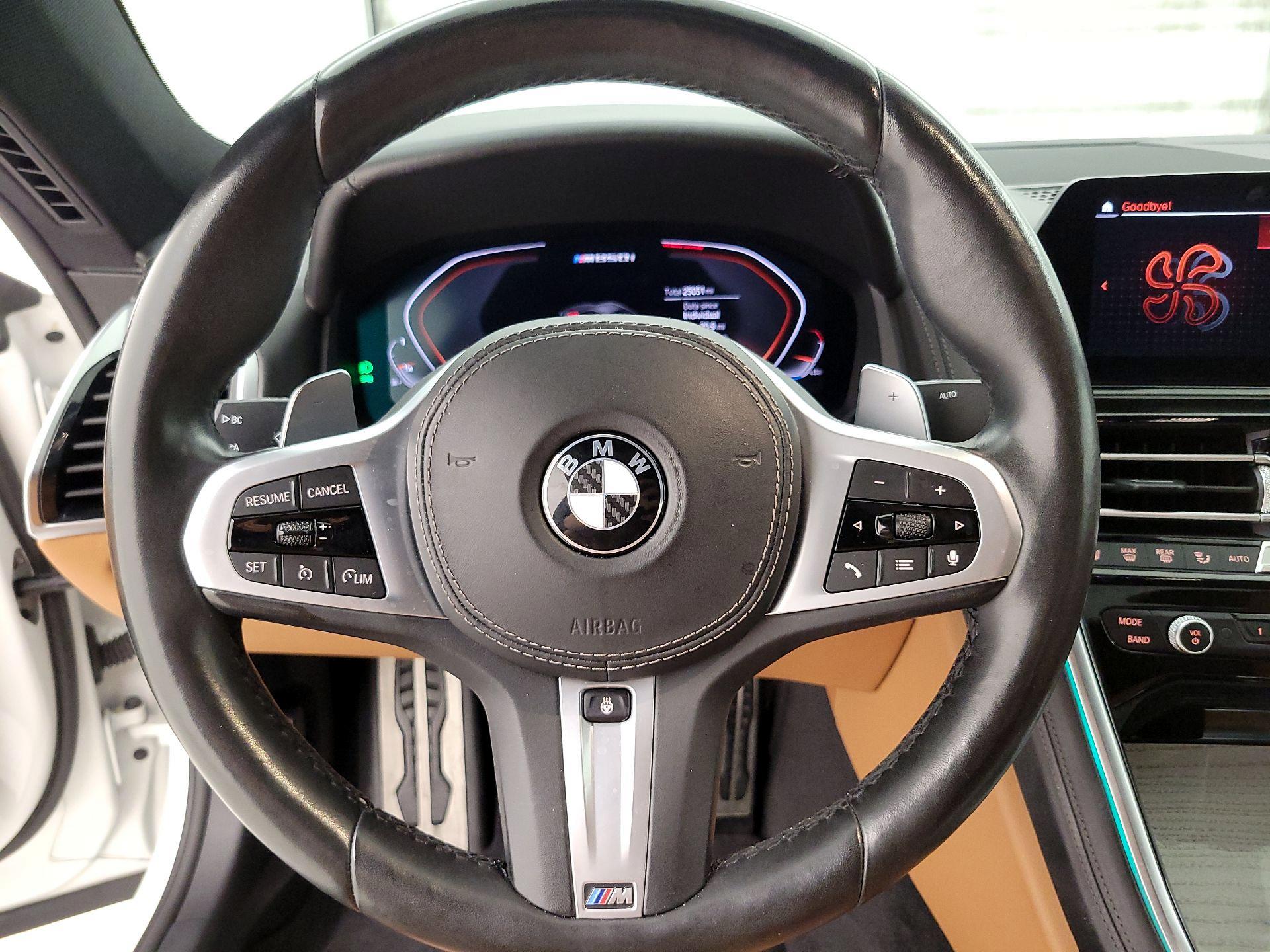 Thumbnail: 2019 BMW 8 Series - 10