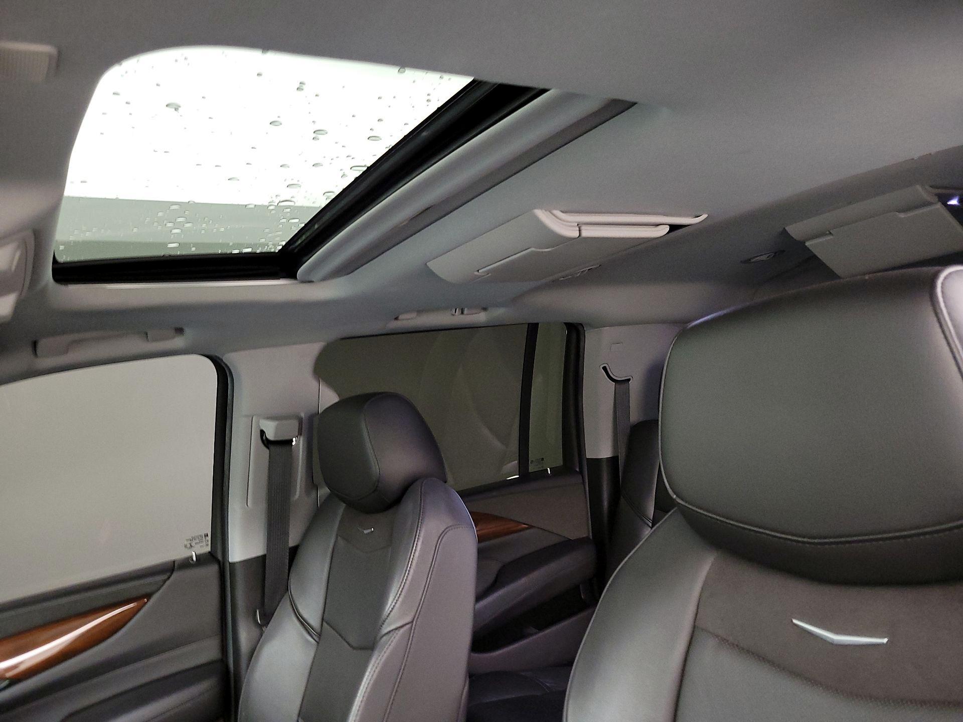 Thumbnail: 2020 Cadillac Escalade - 19