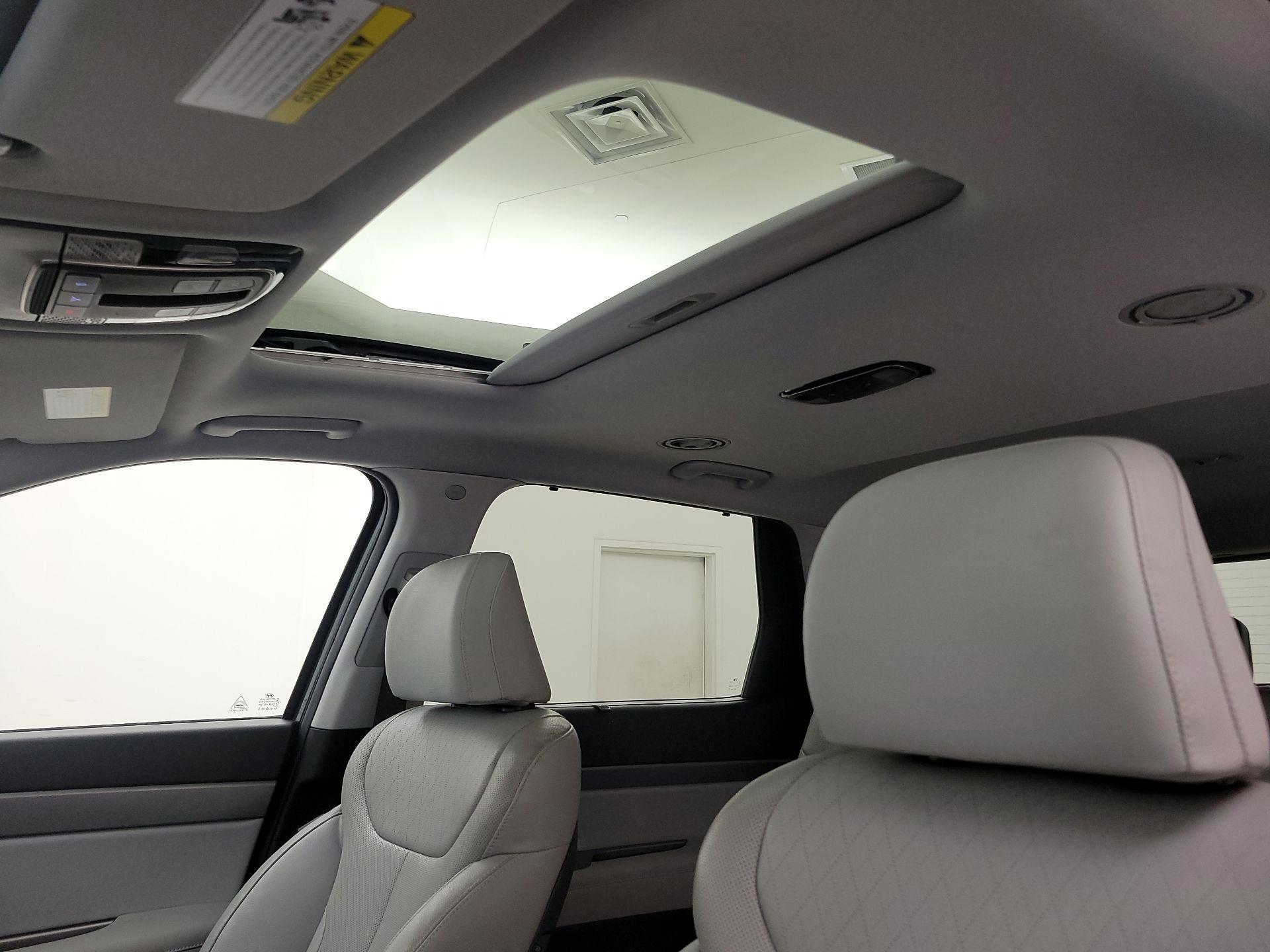 Thumbnail: 2020 Hyundai Palisade - 20