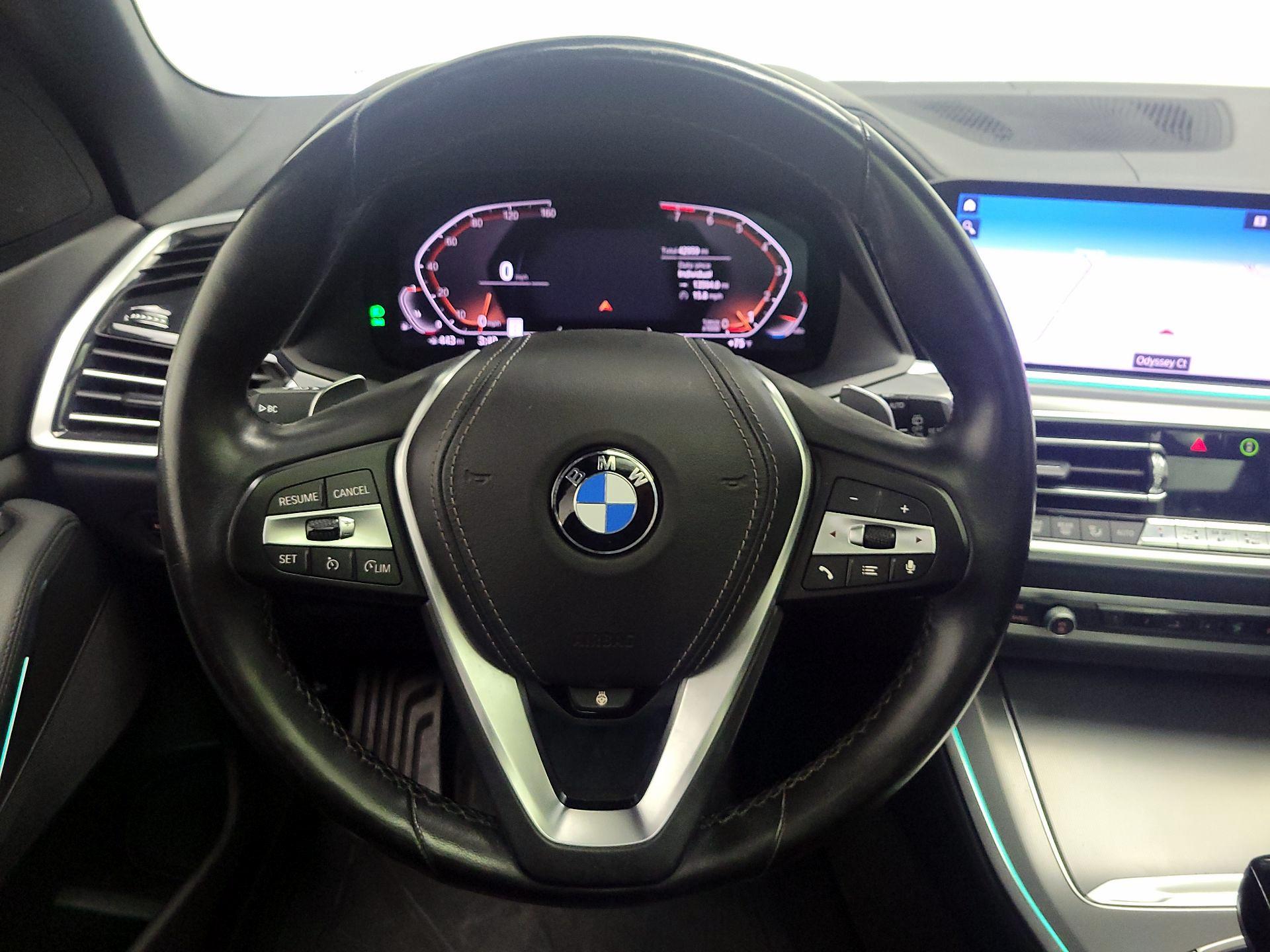 Thumbnail: 2019 BMW X5 - 10