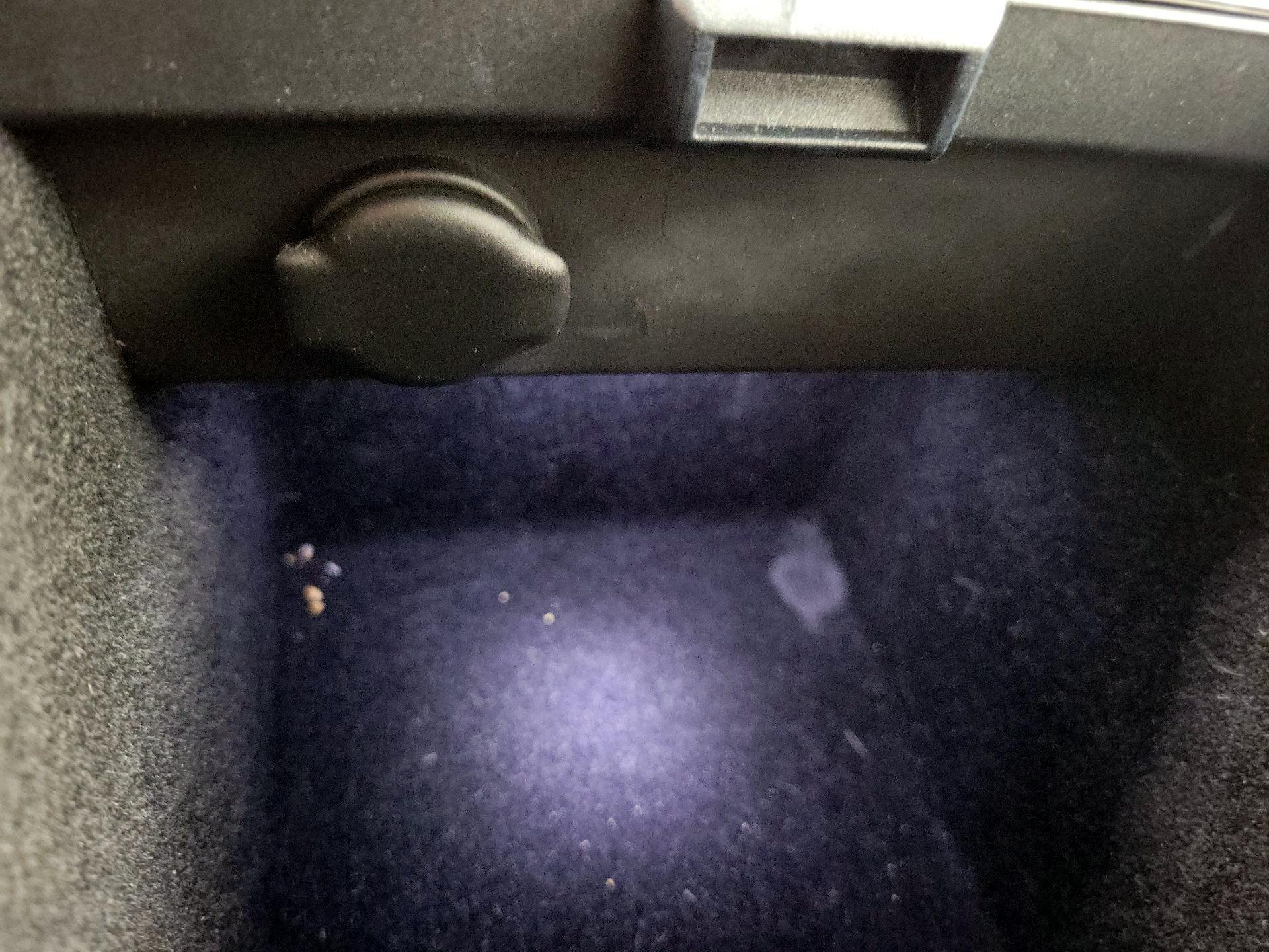 Thumbnail: 2020 Tesla Model 3 - 18