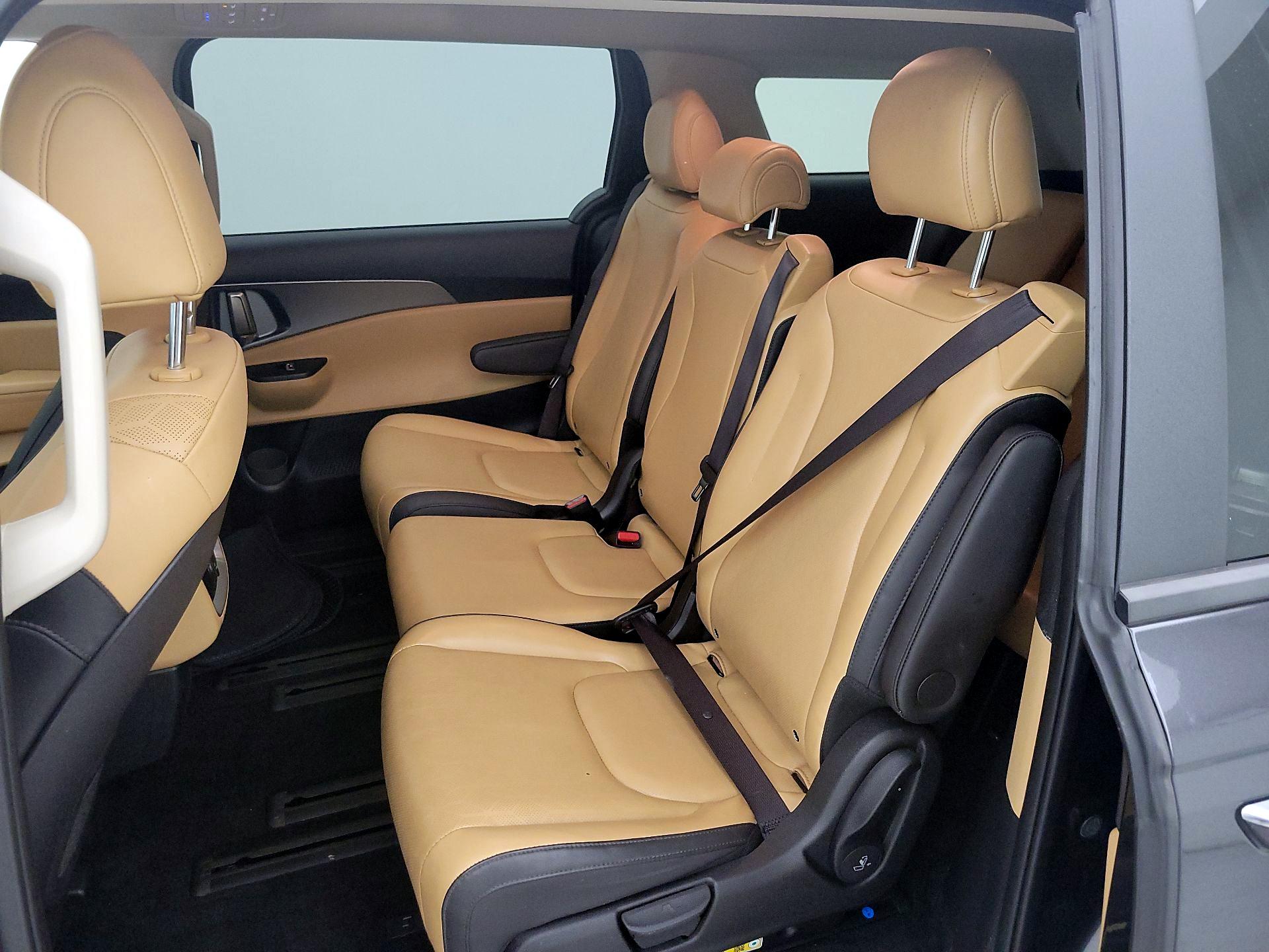 Thumbnail: 2024 Kia Carnival - 19