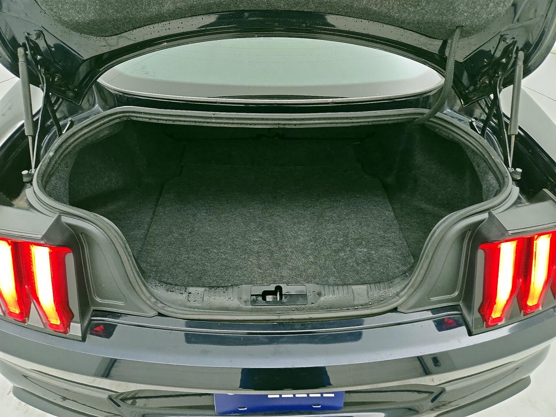 Thumbnail: 2021 Ford Mustang - 20