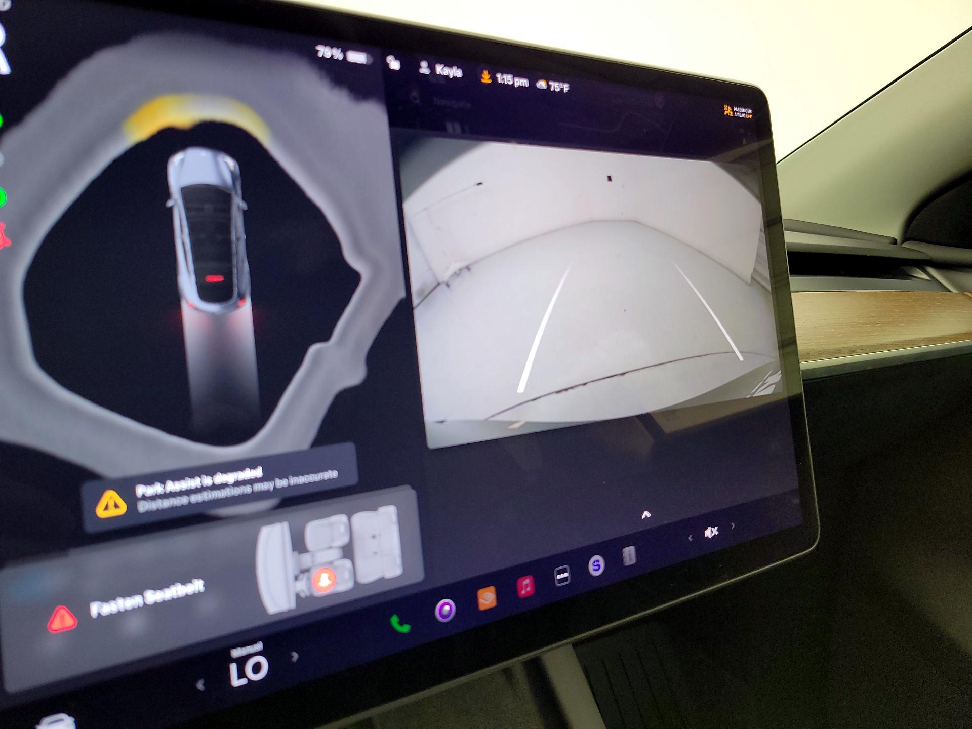 Thumbnail: 2022 Tesla Model Y - 13