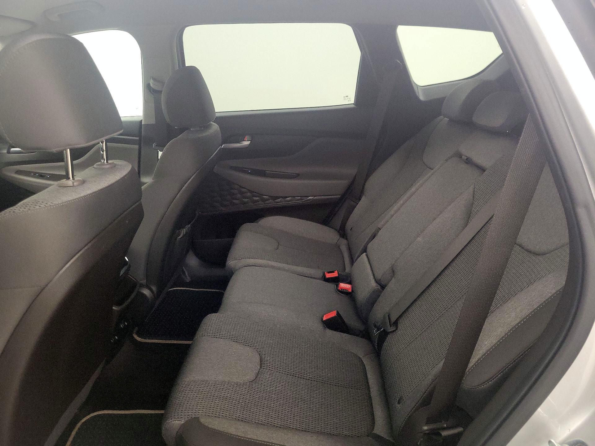 Thumbnail: 2019 Hyundai Santa Fe - 19