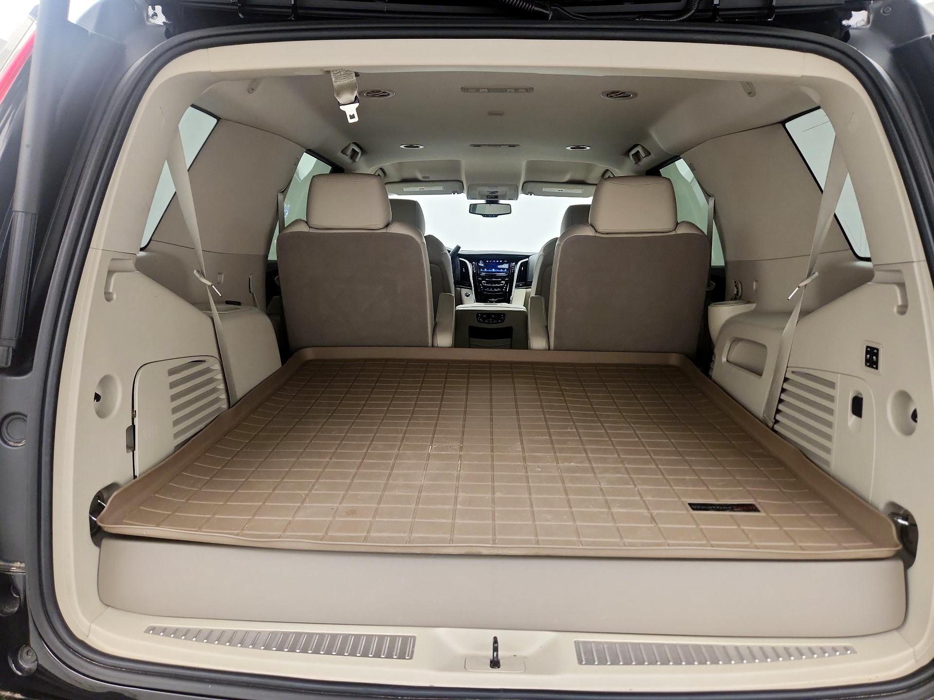 Thumbnail: 2020 Cadillac Escalade - 18