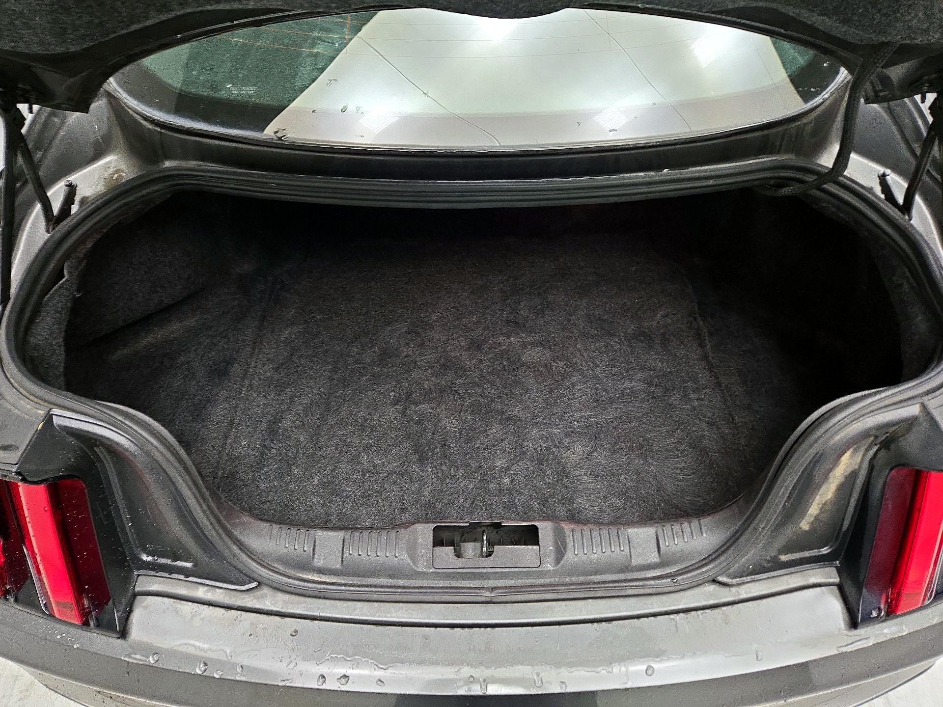 Thumbnail: 2015 Ford Mustang - 19